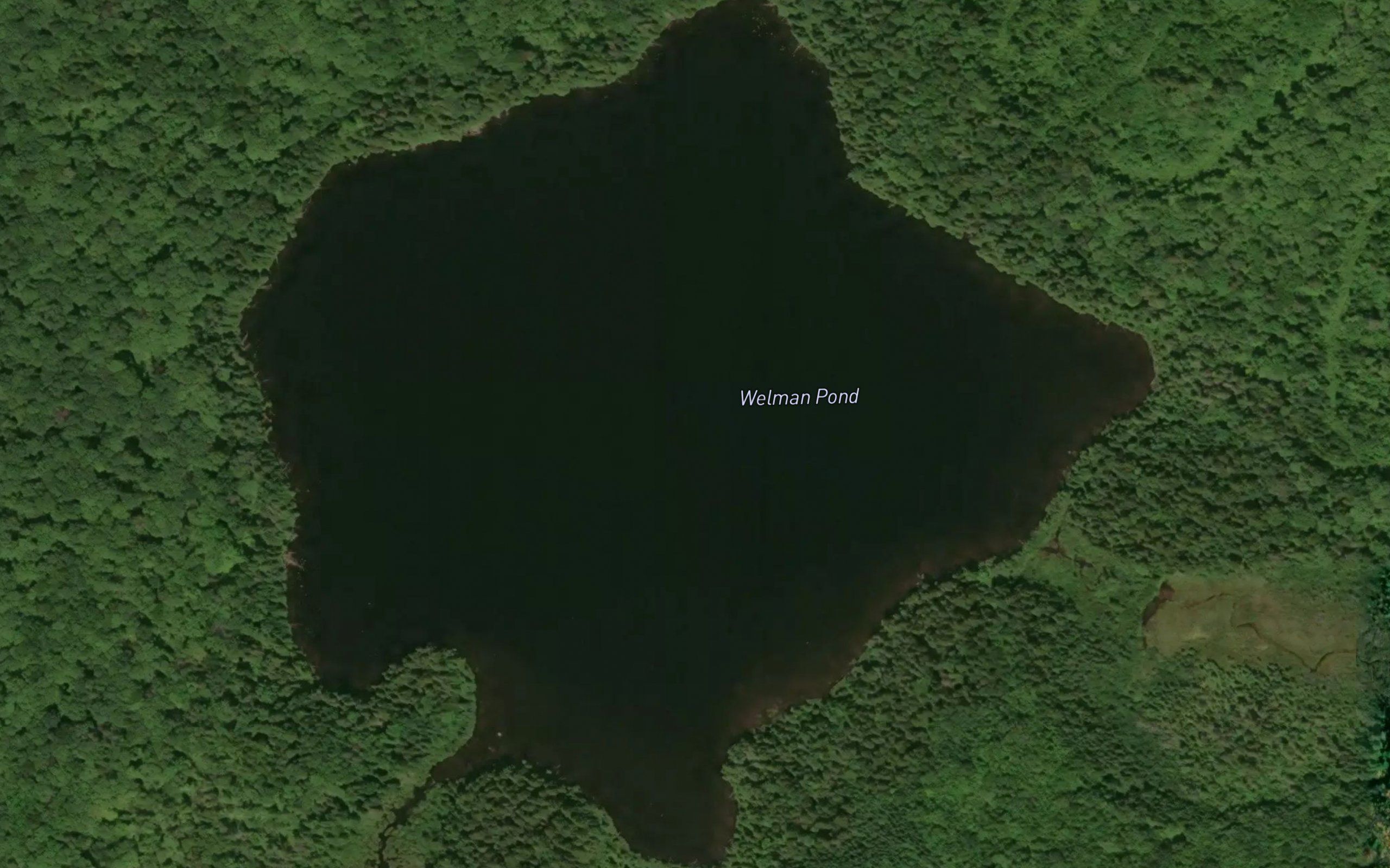 Welman Pond