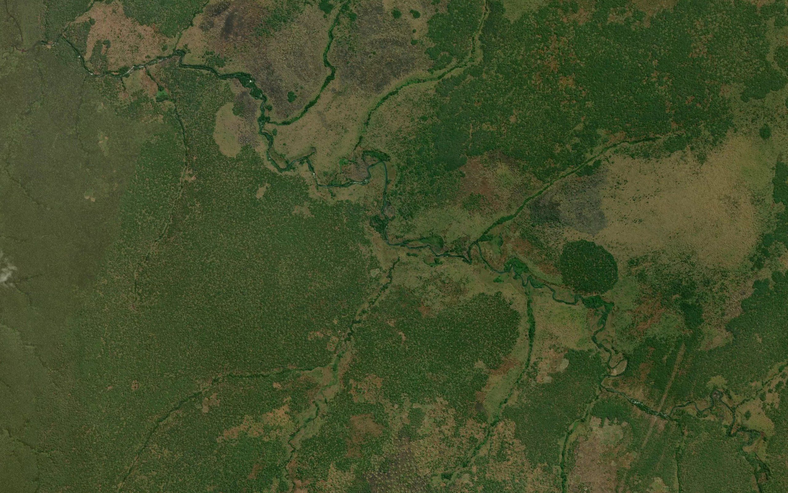Mwangeshi