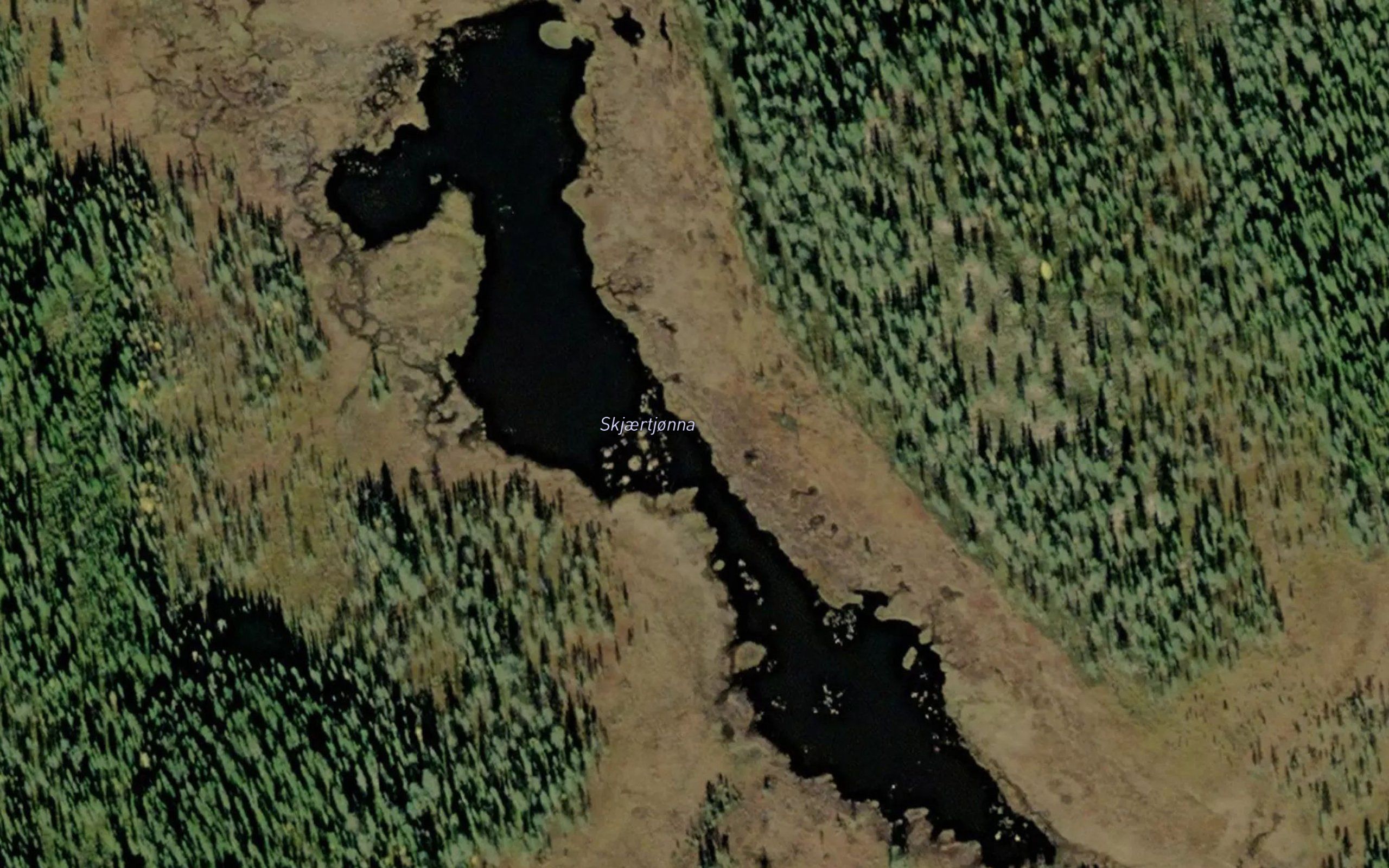 Skjertjorna