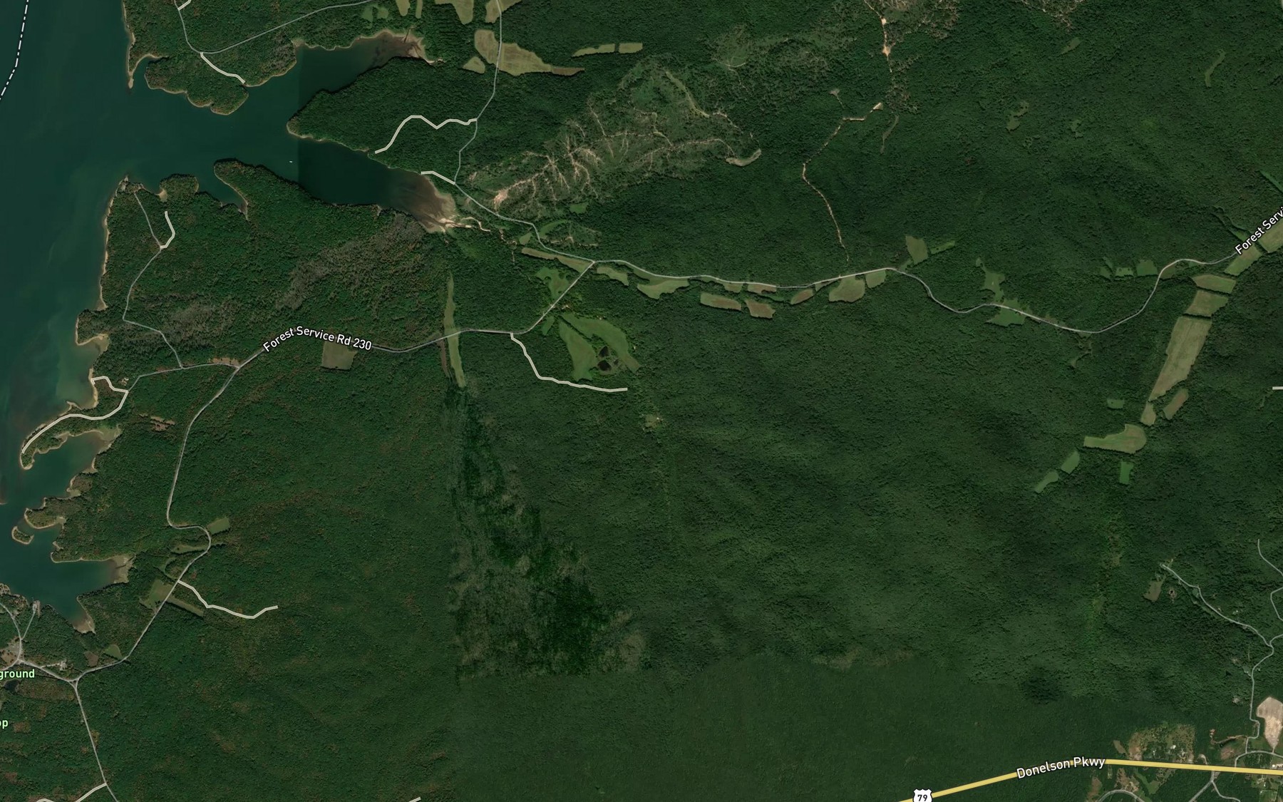 Satellite map of the South Fork Panther Creek