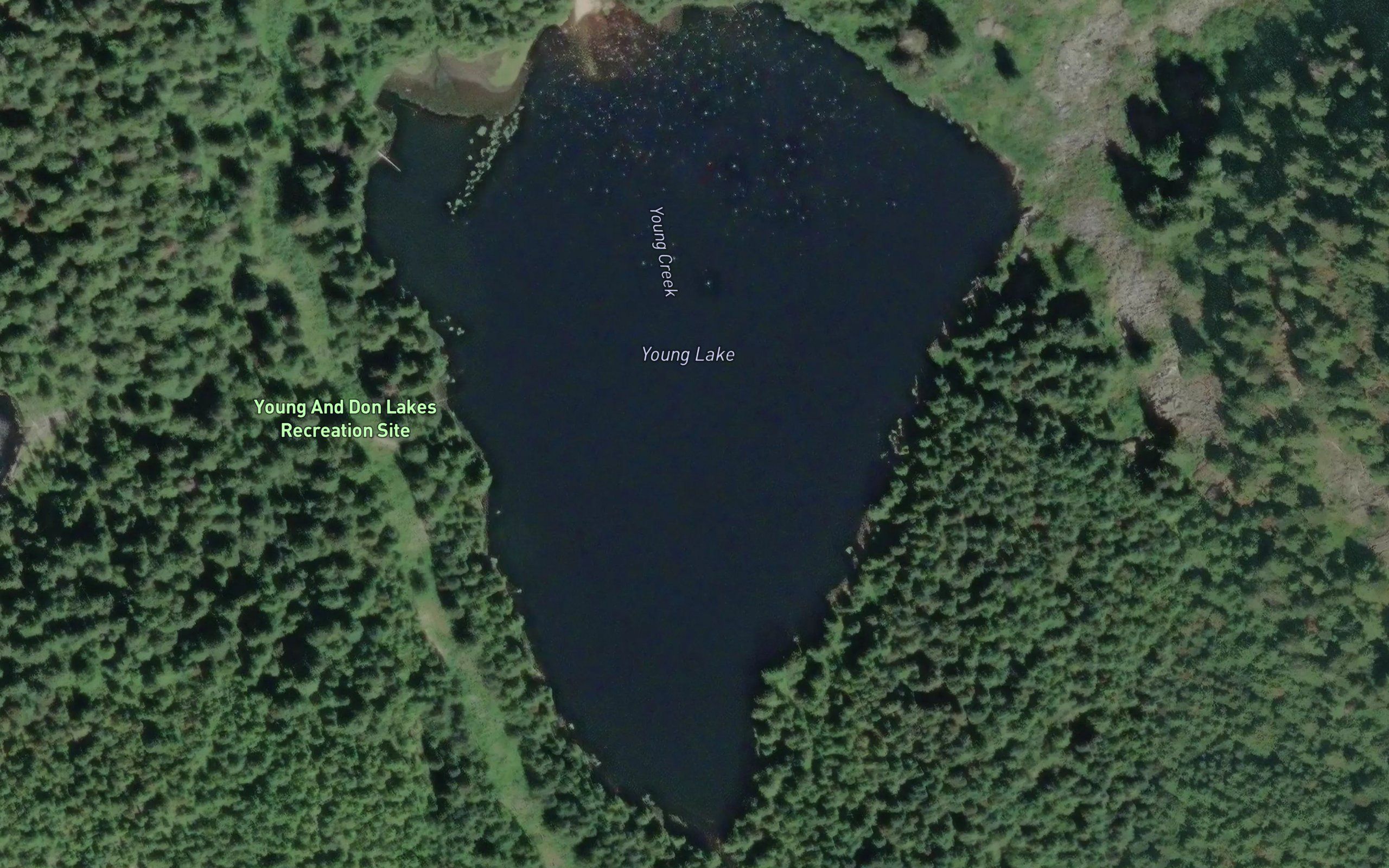 Young Lake