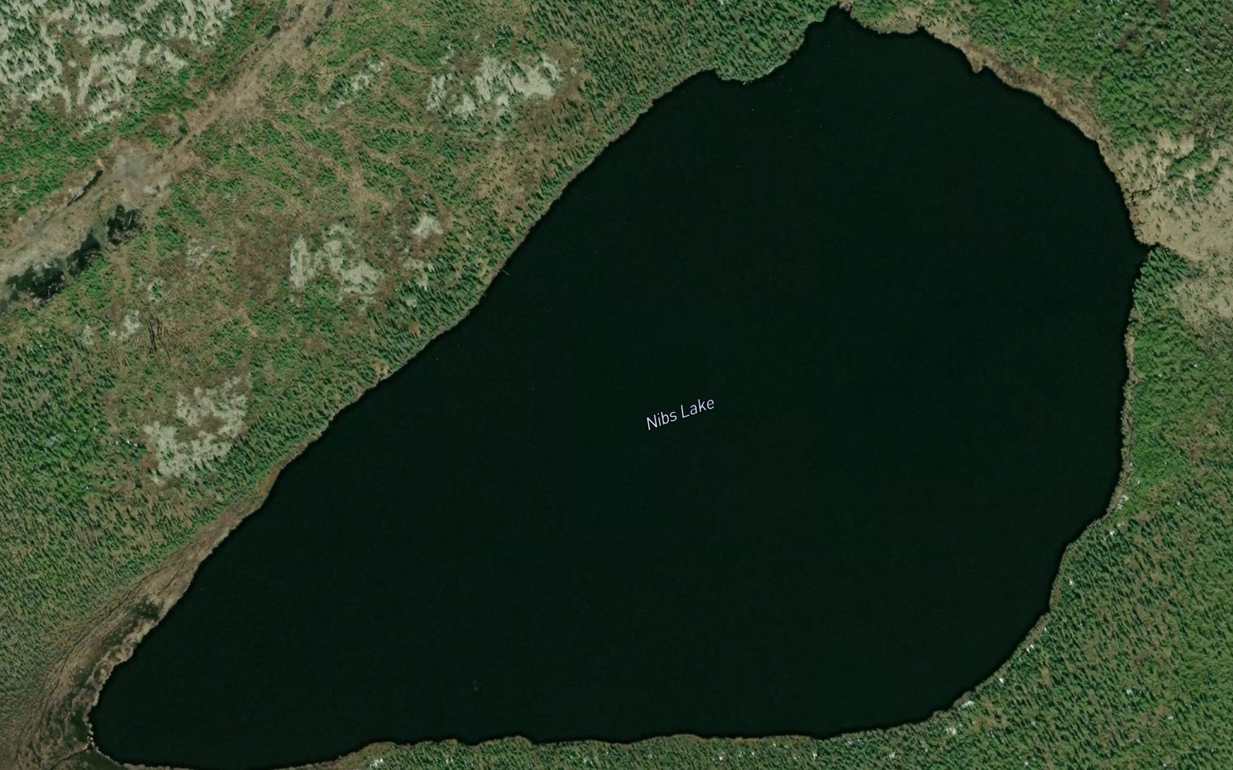 Satellite map of the Nibs Lake