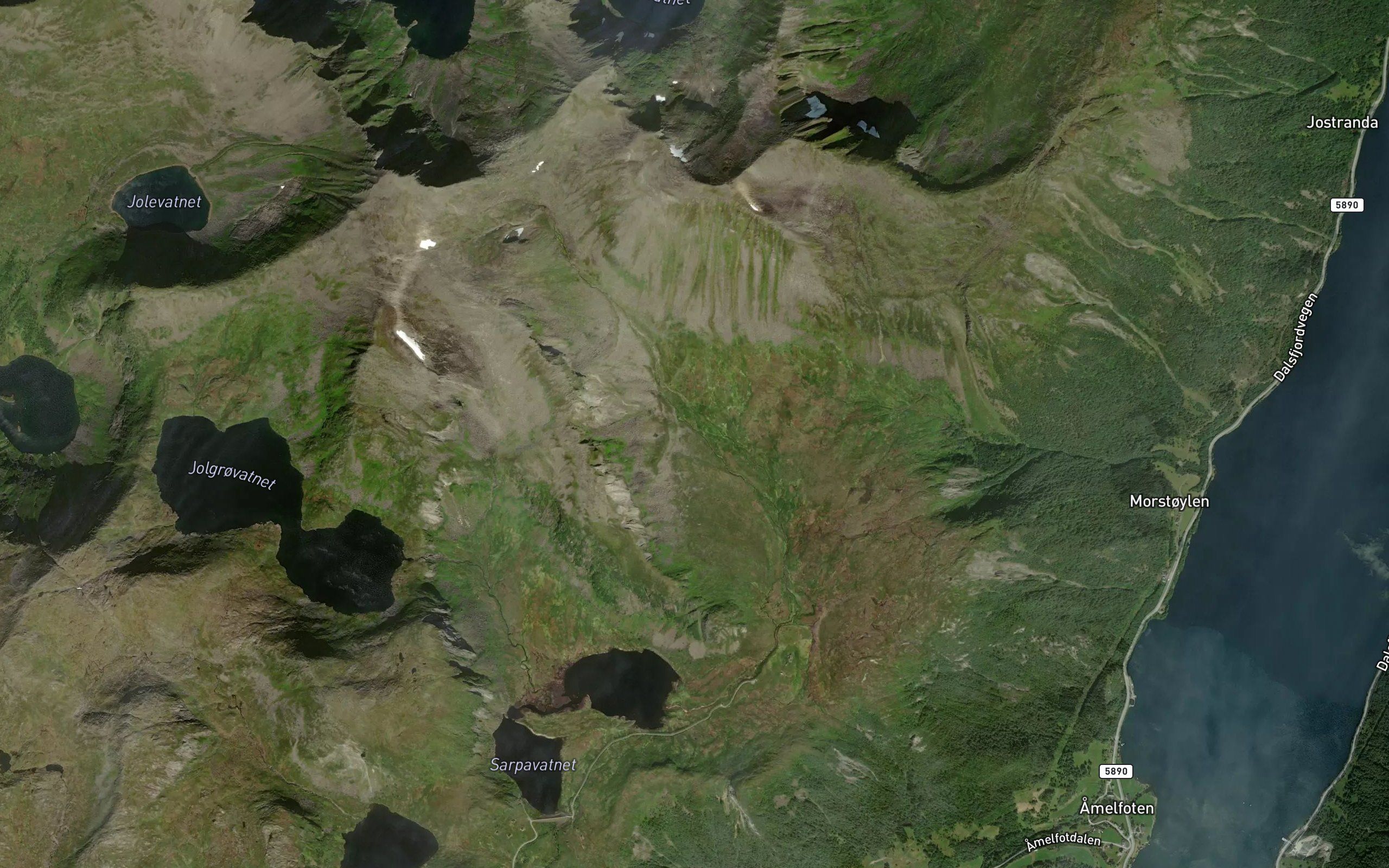Danselva