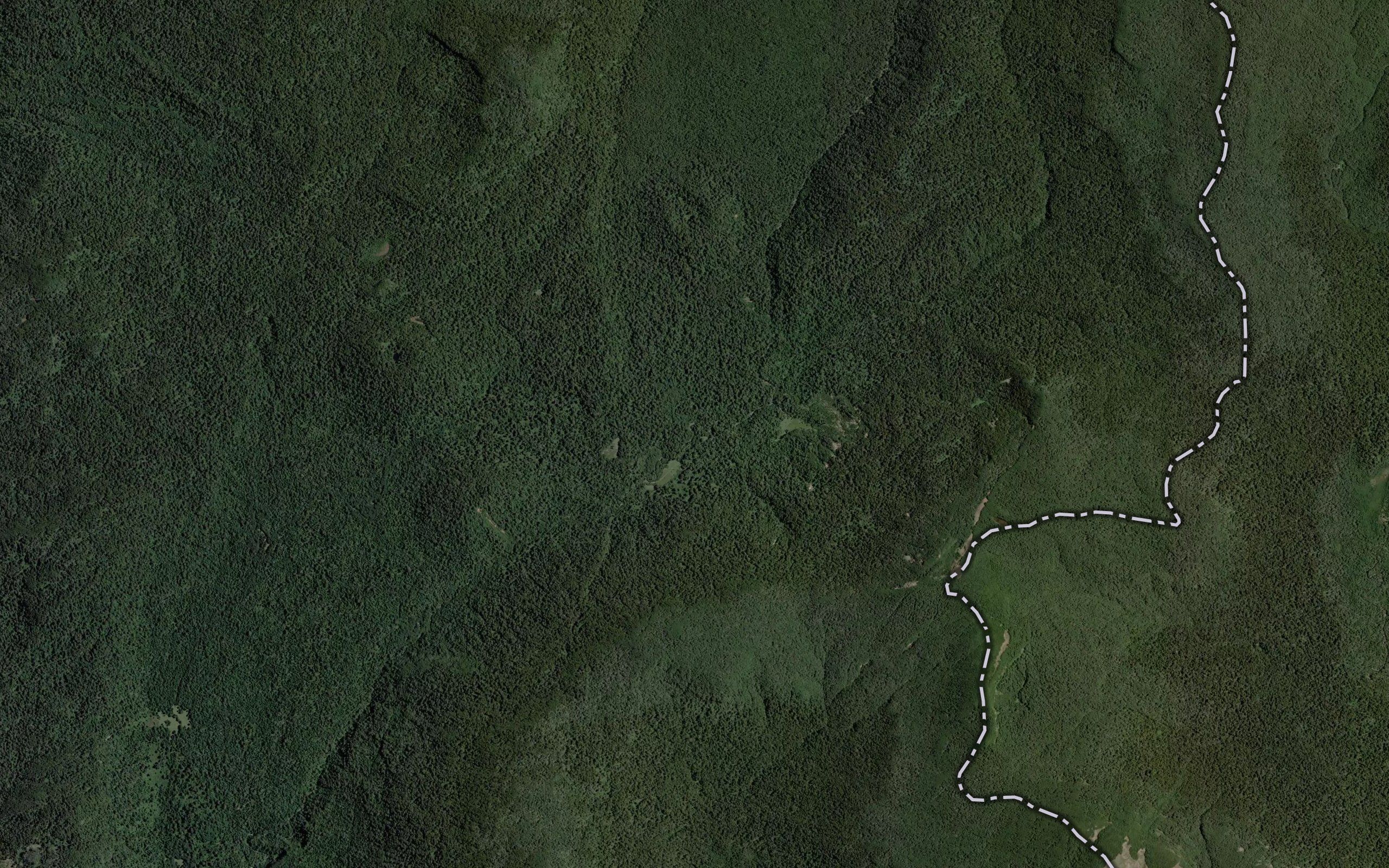 Estero Azul
