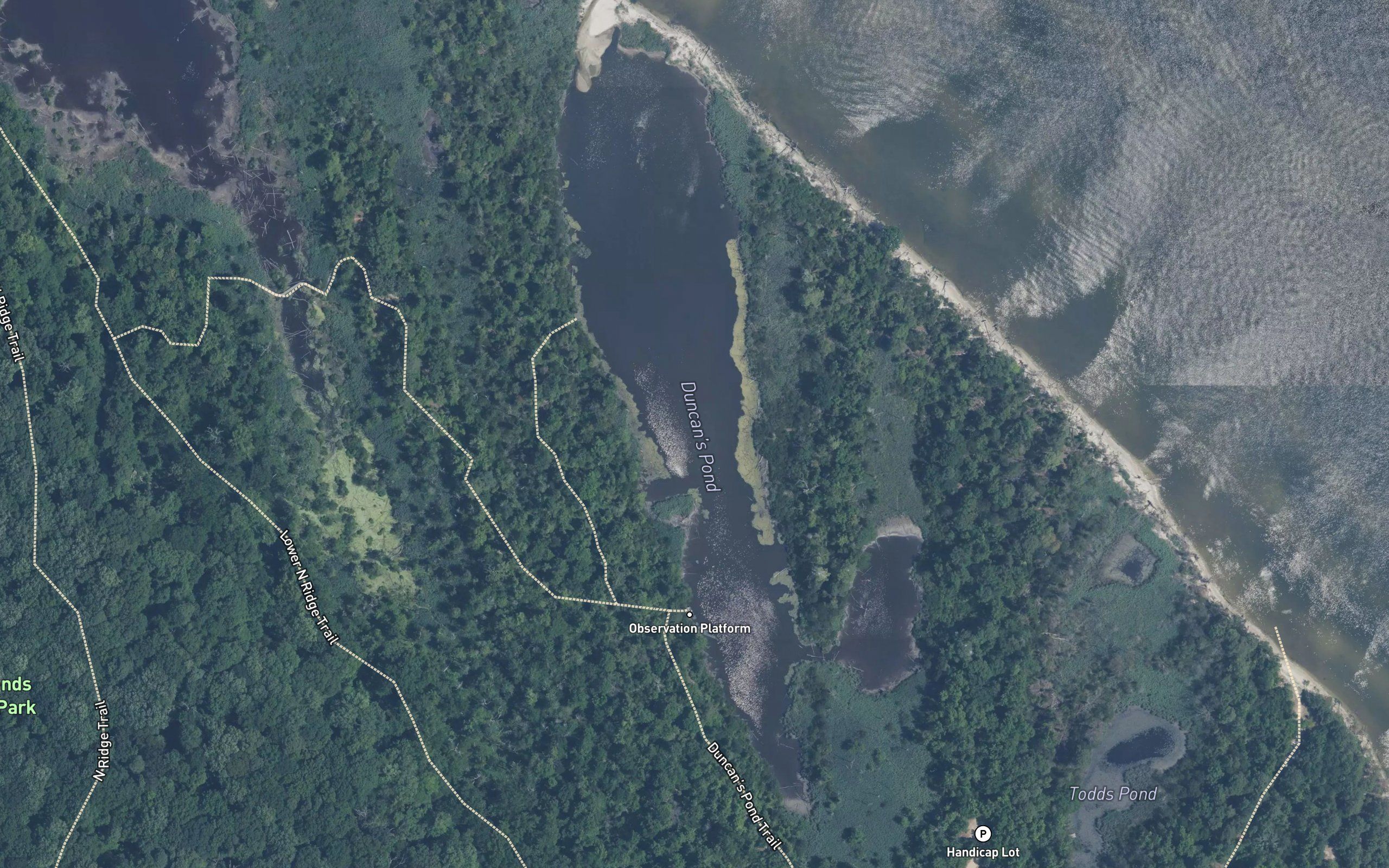 Flag Ponds
