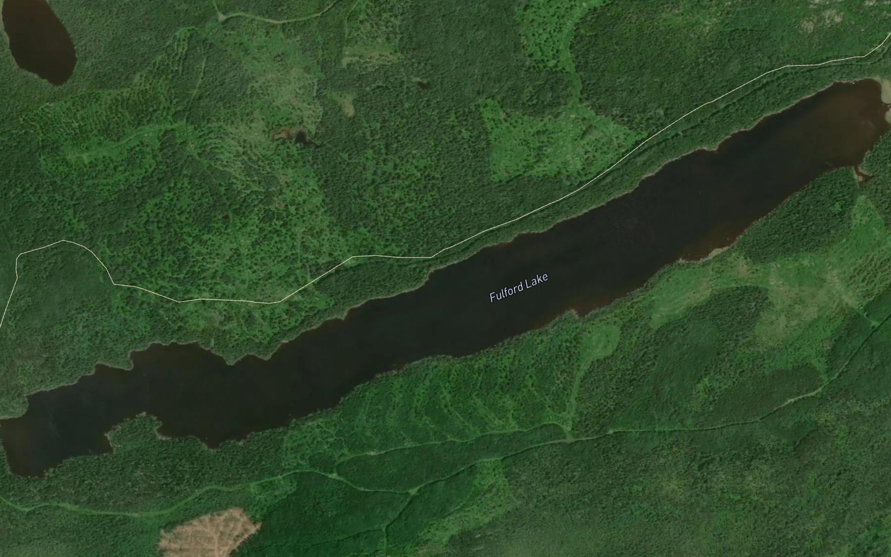 Satellite map of the Fulford Lake
