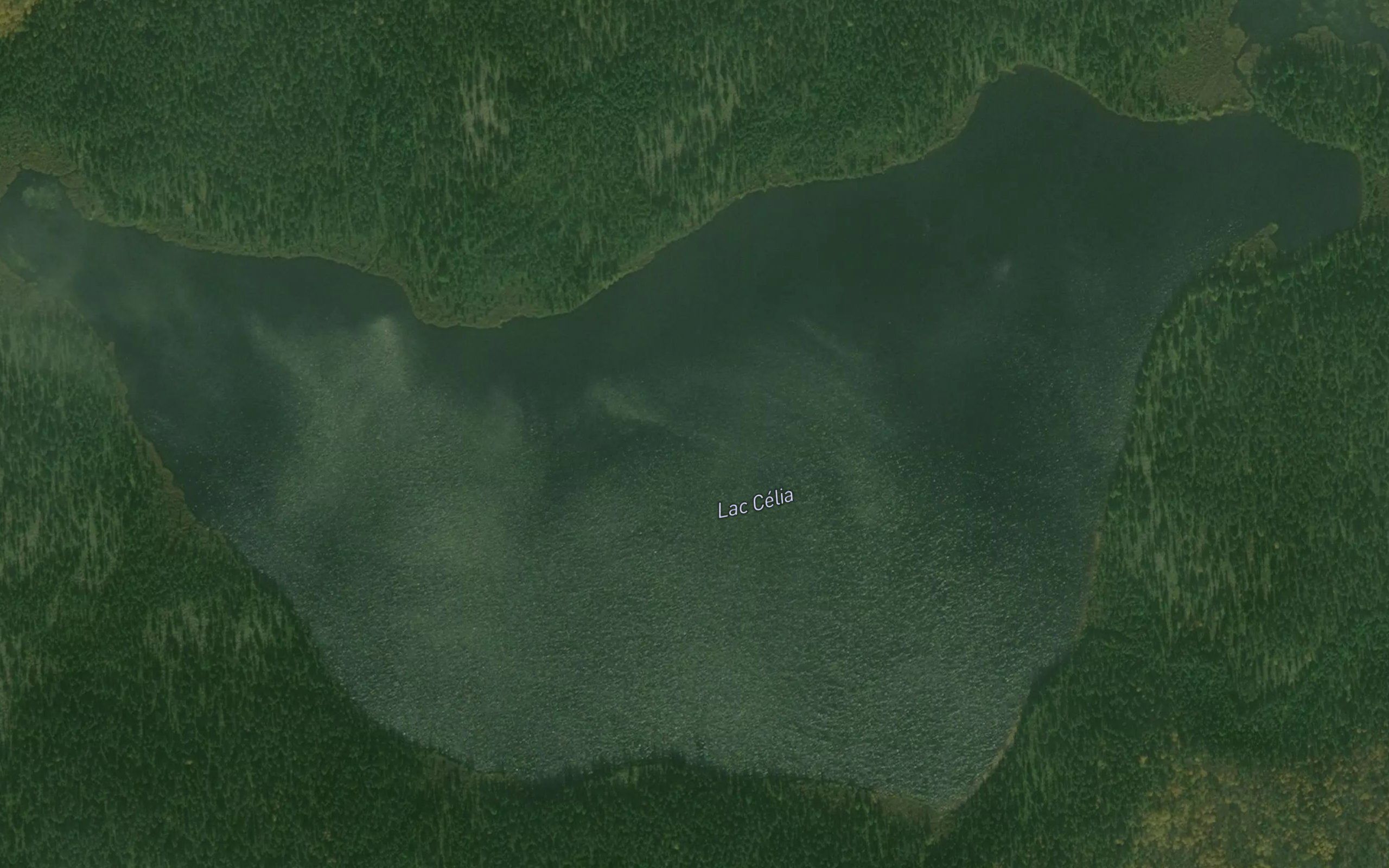 Lac Celia