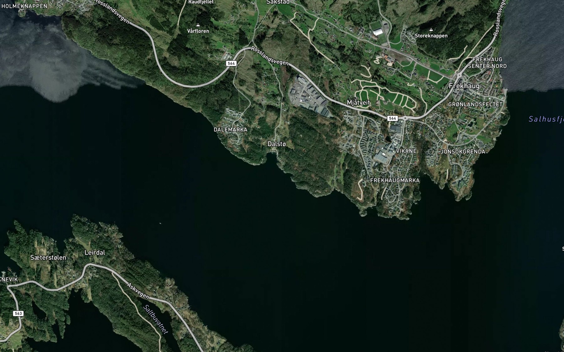 Satellite map of the Sogneviki