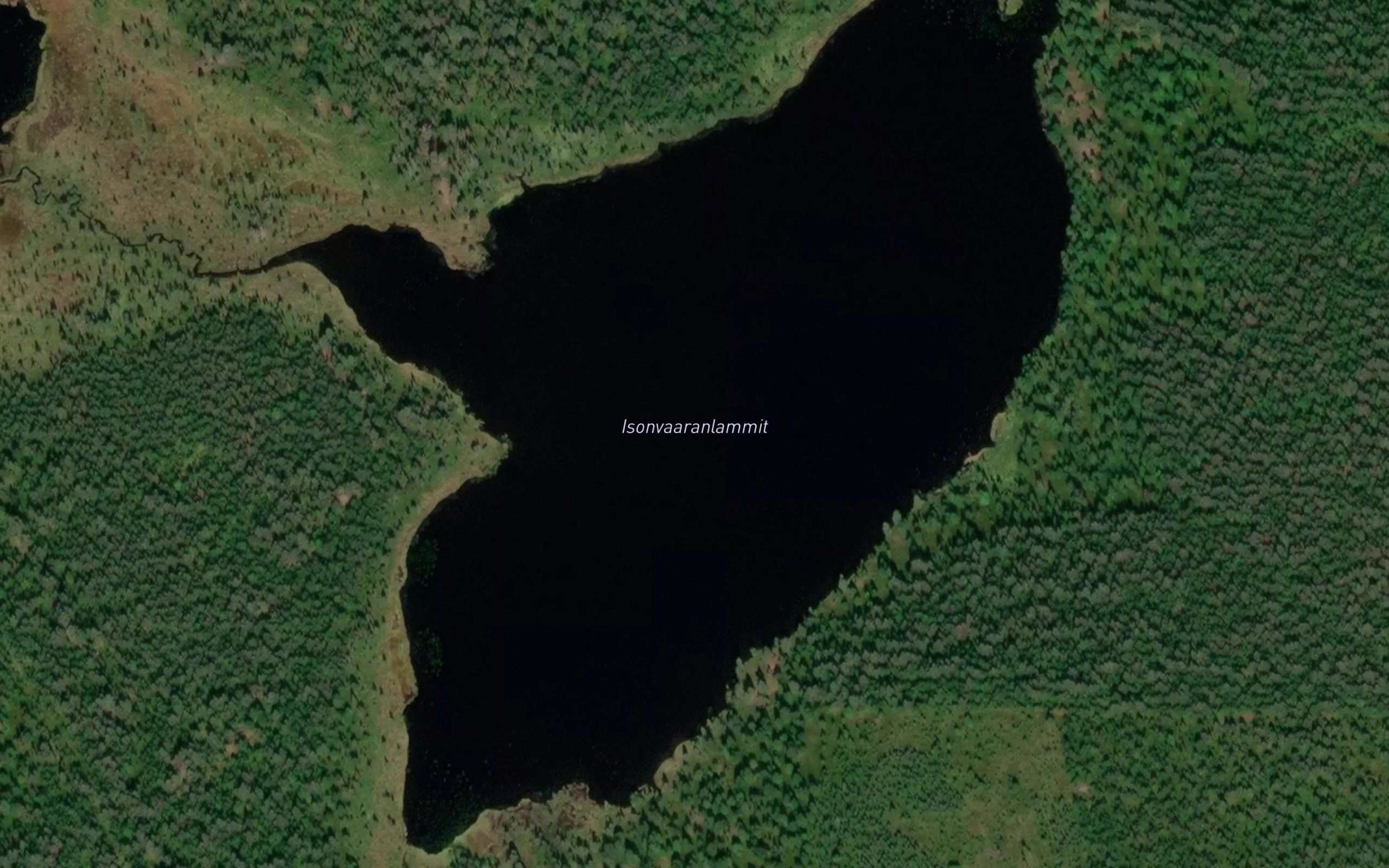 Isonvaaranlammit