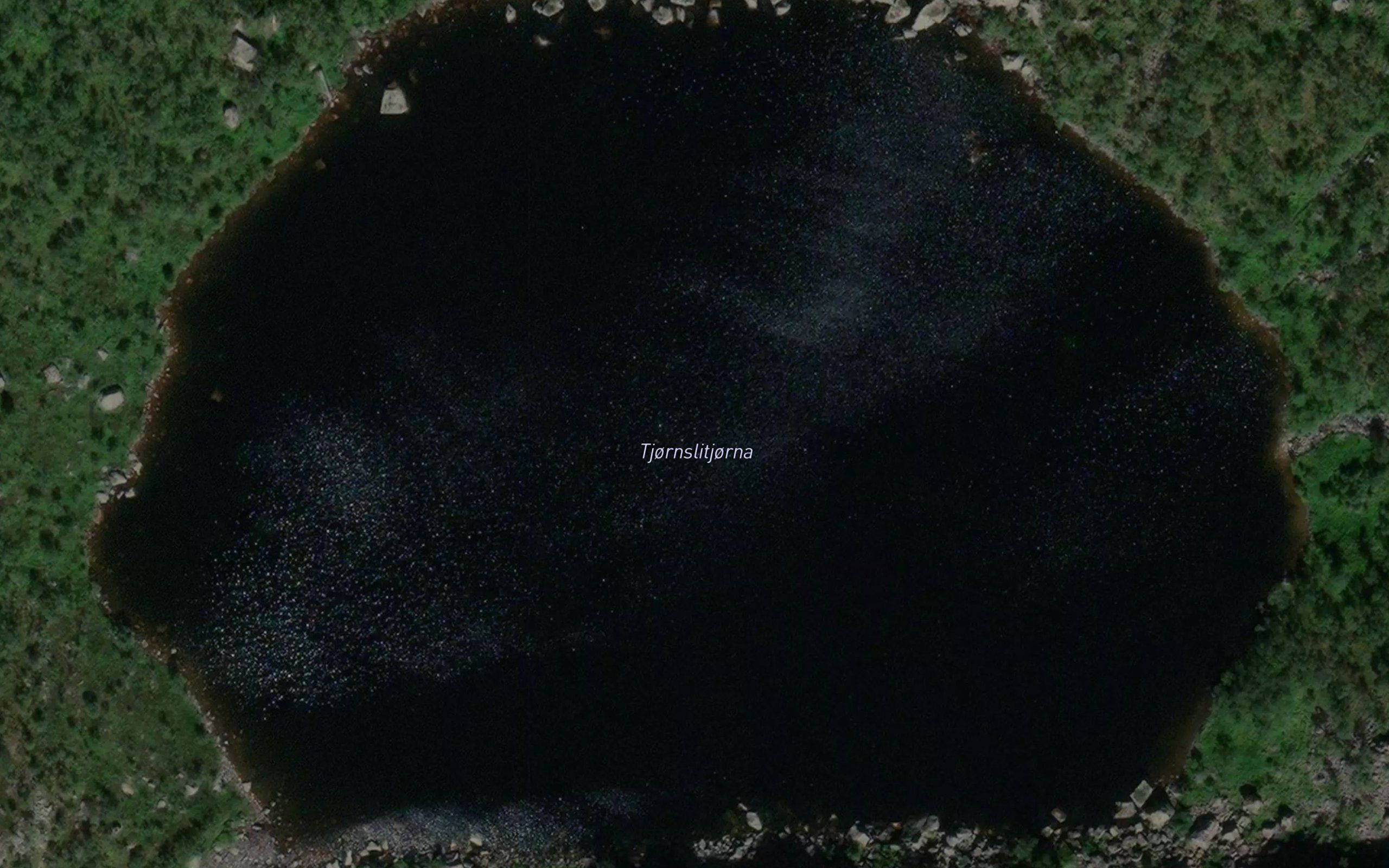 Tjornslitjorni