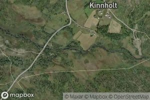 Kinnholtani