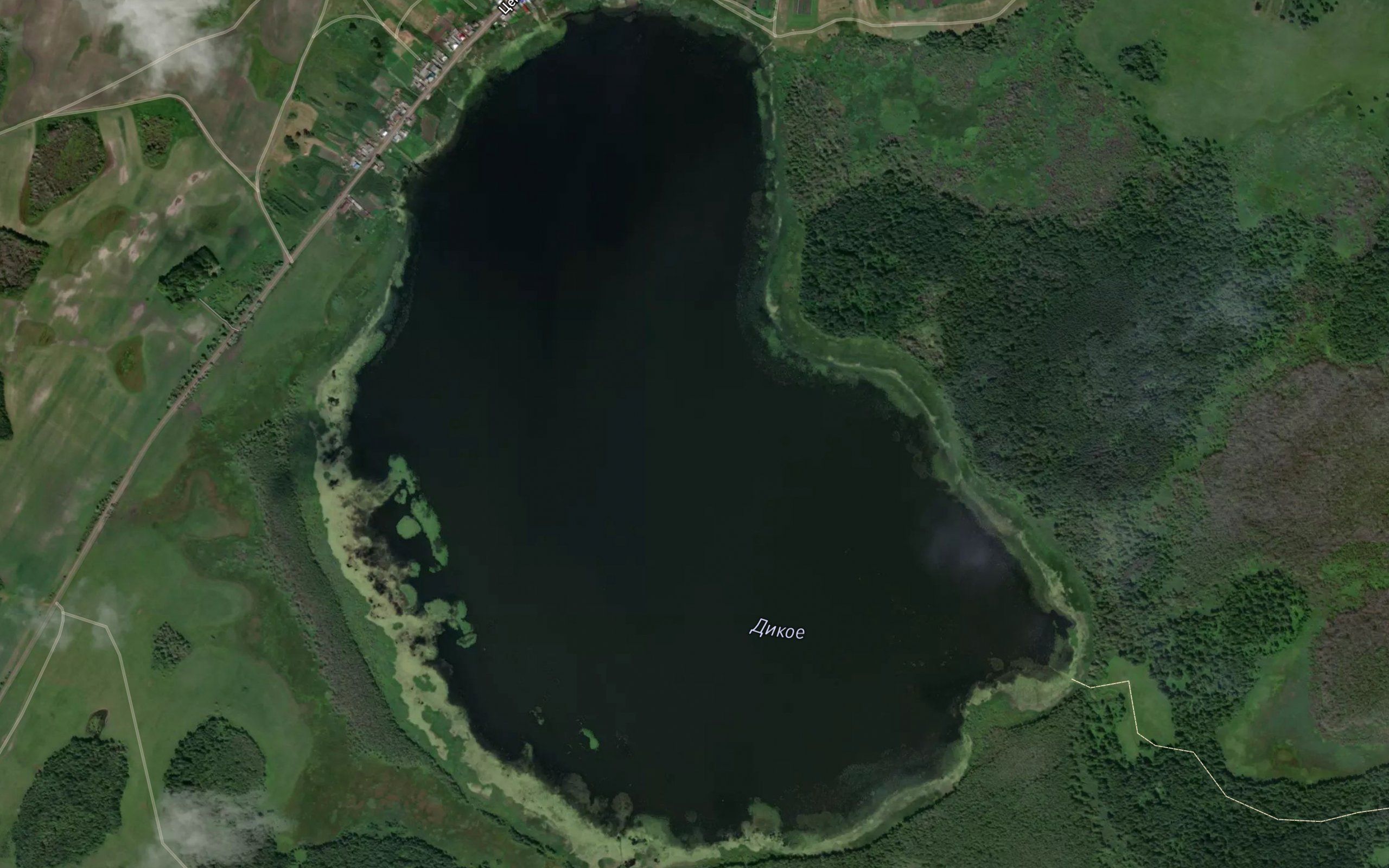 Ozero Dikoye