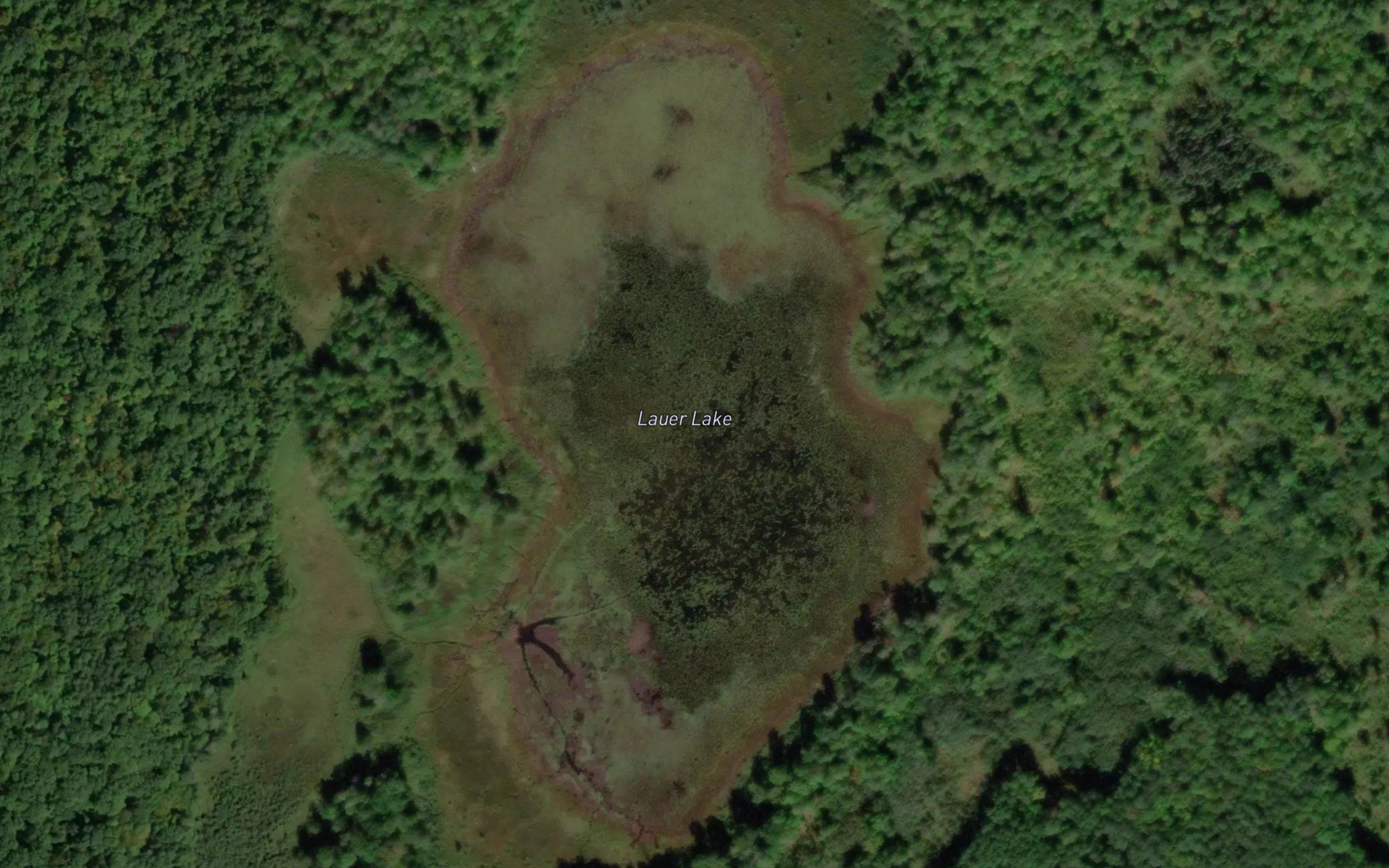 Lauer Lake