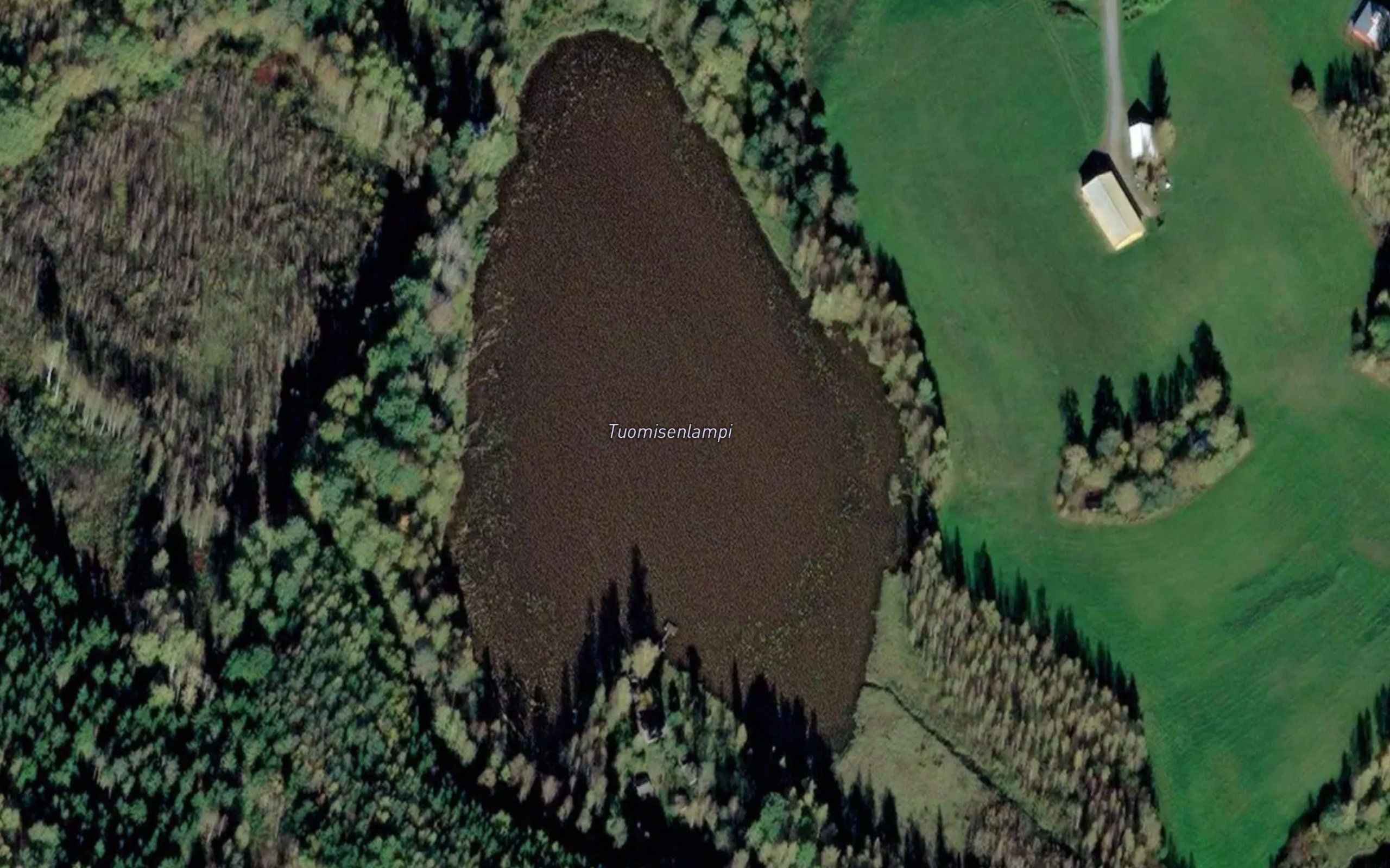 Tuomisenlampi