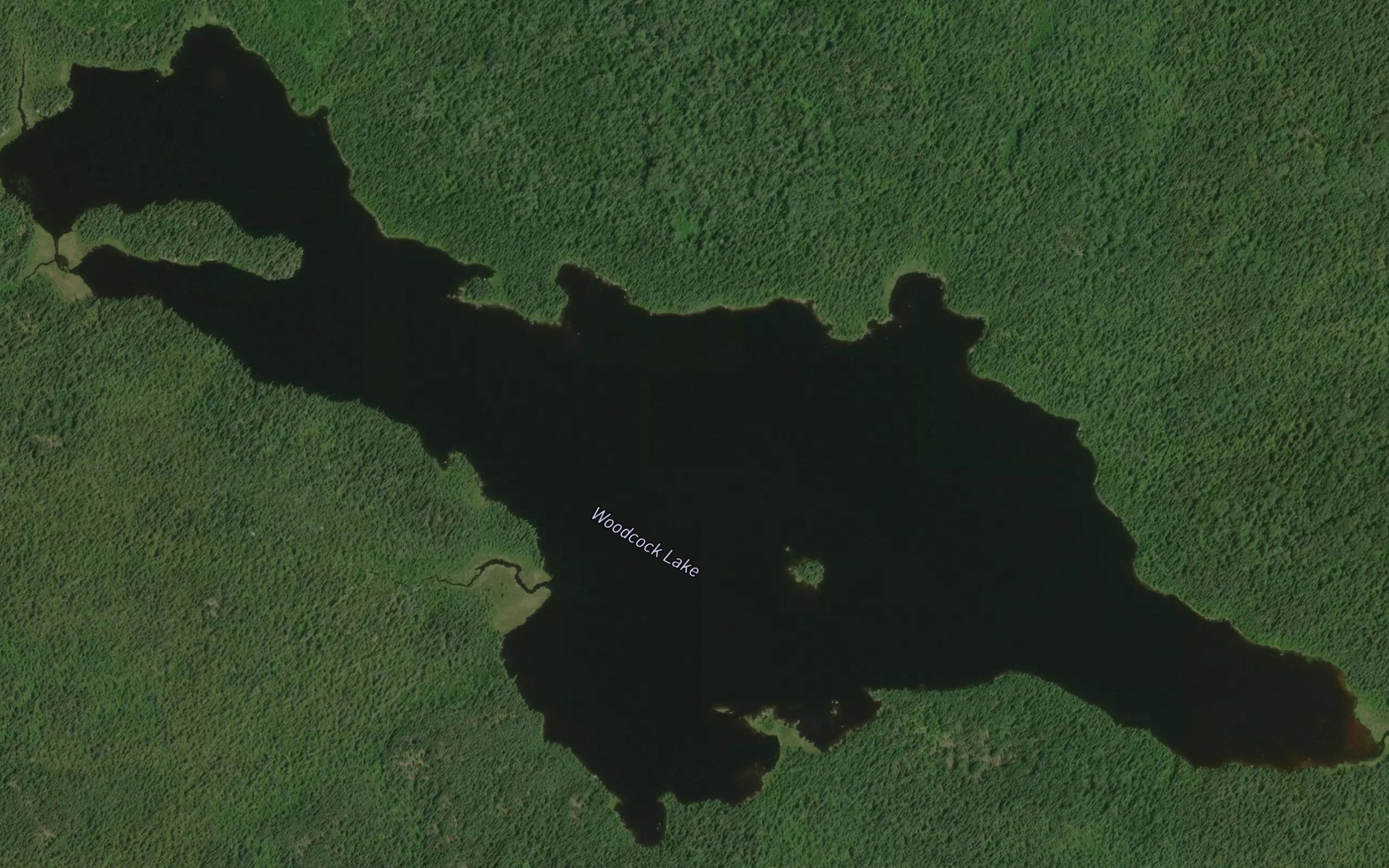 Satellite map of the Woodcock Lake