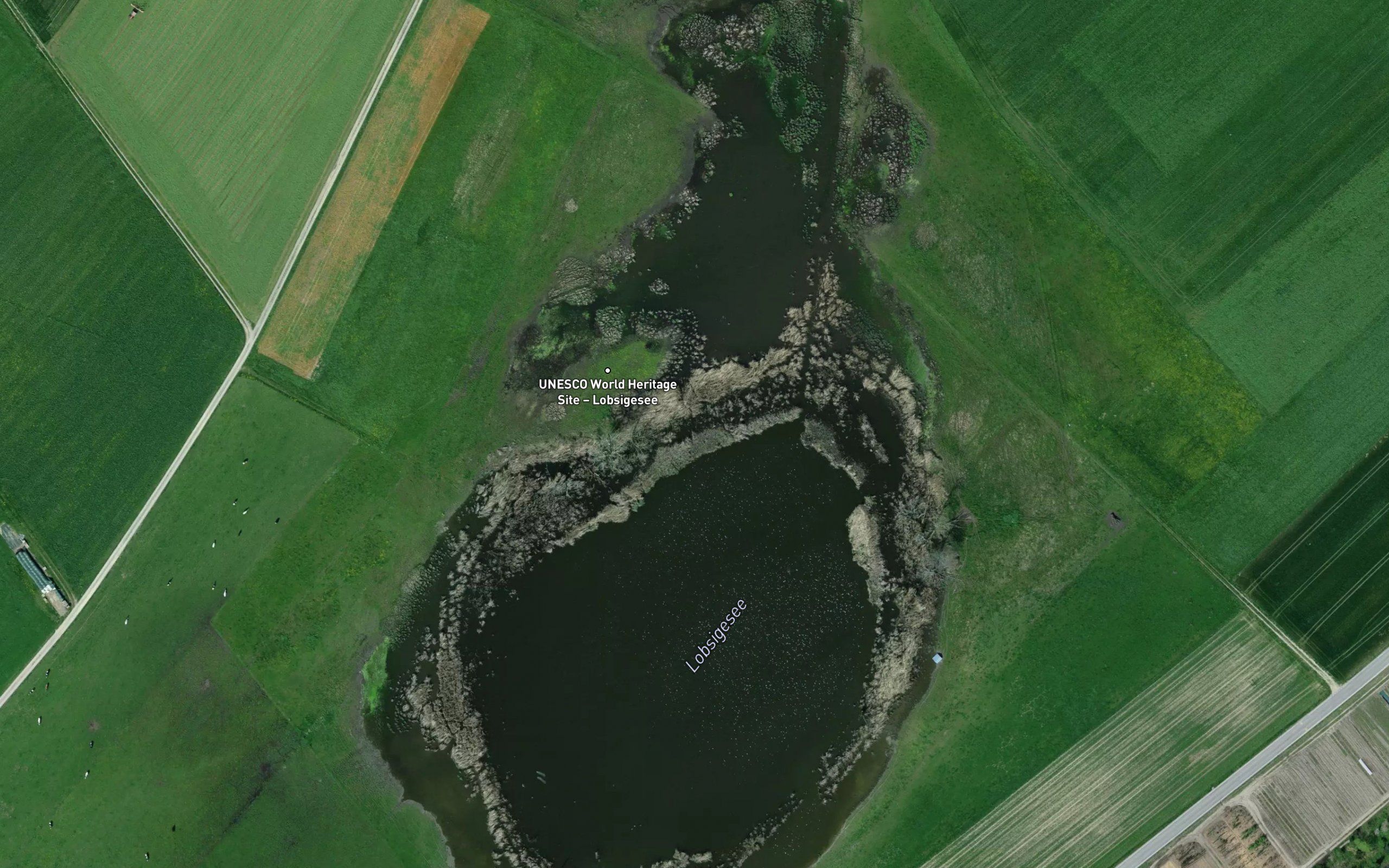 Lobsigensee