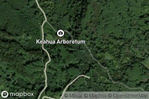 Keahua Stream