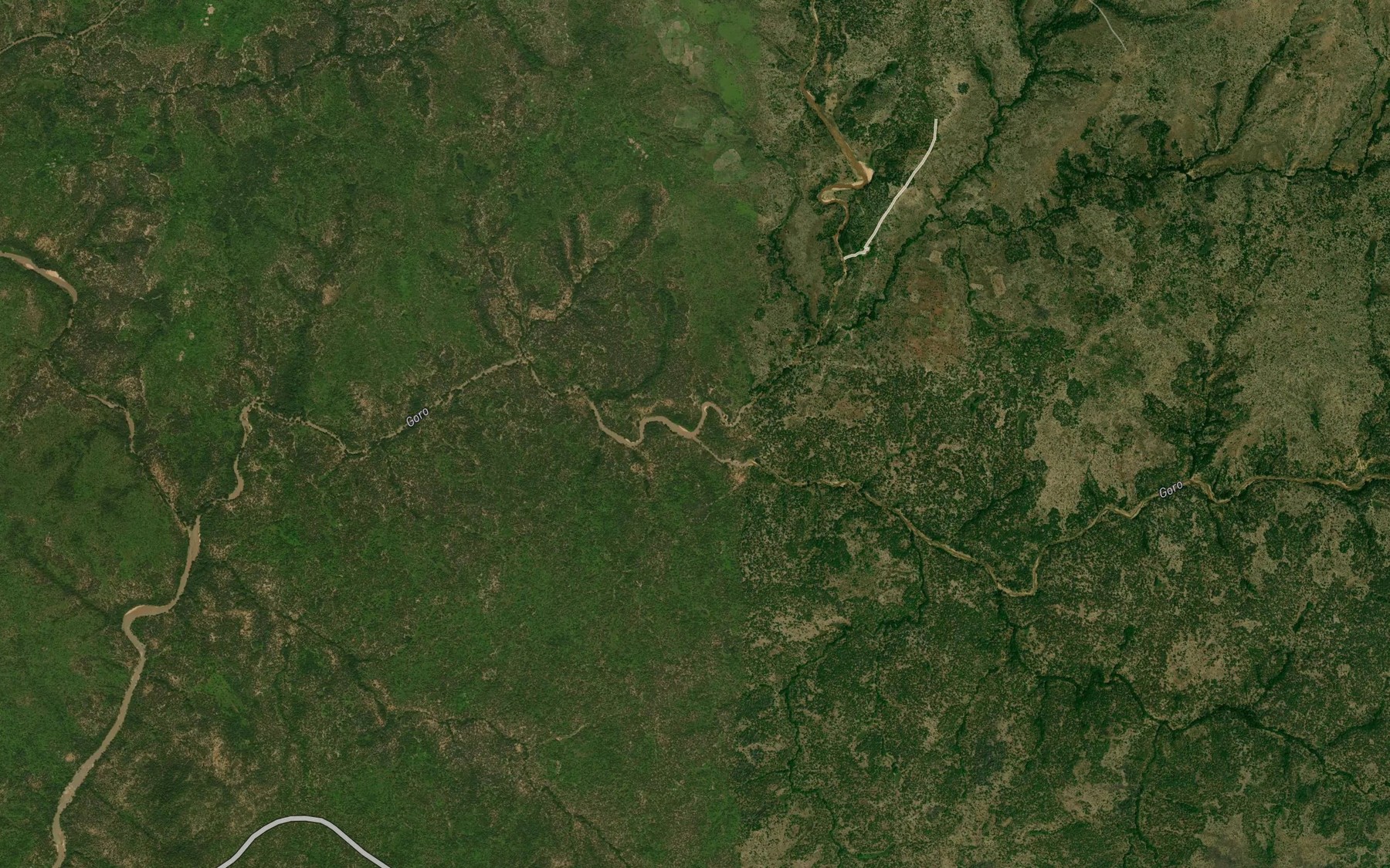 Satellite map of the River Dusilong