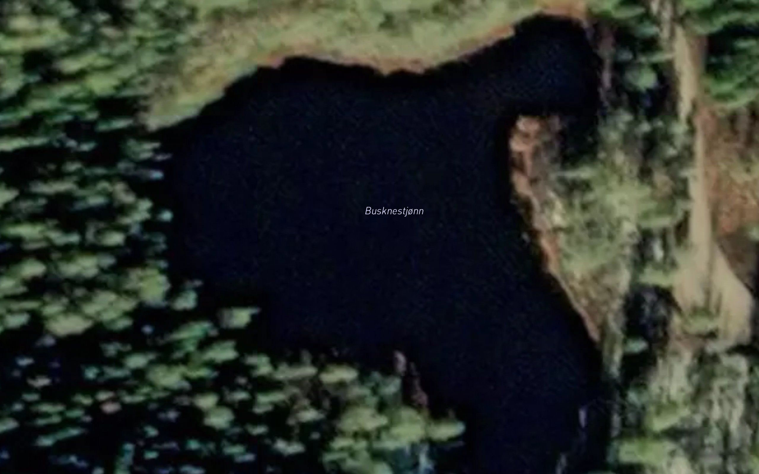 Busknestjorn