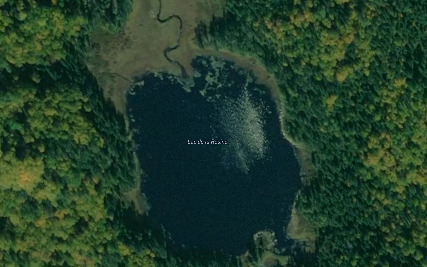 Satellite map of the Lac de la Resine