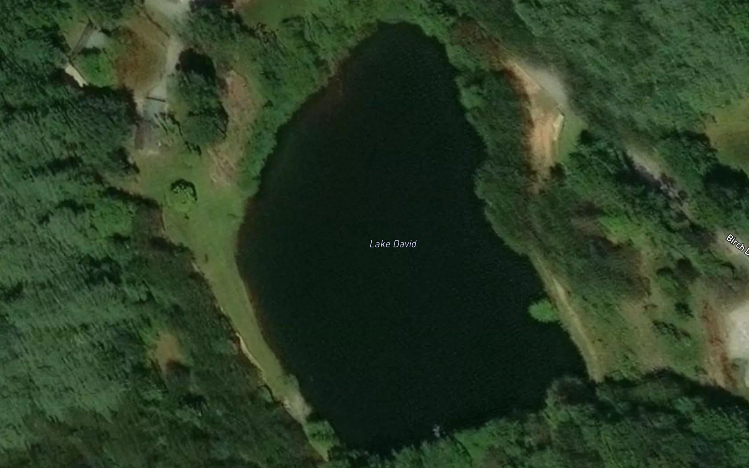 Lake David