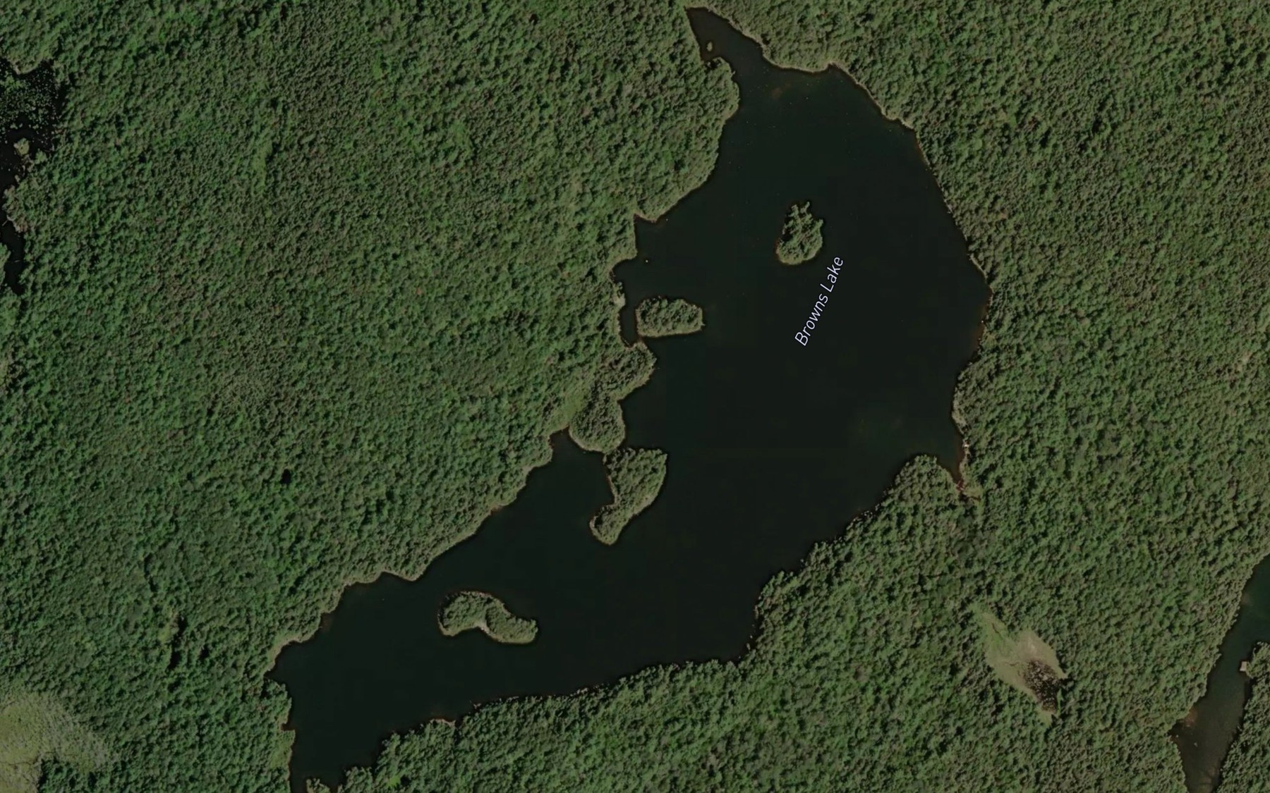 Satellite map of the Browns Lake