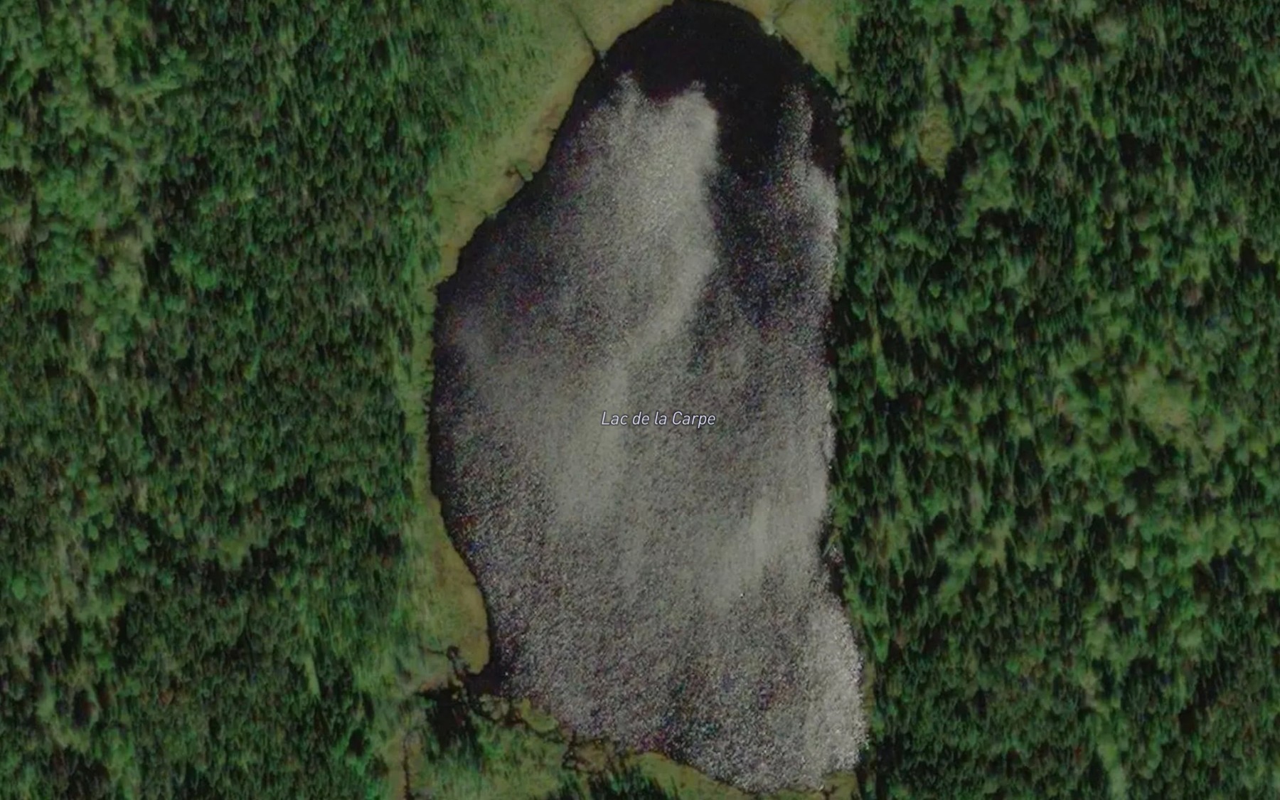 Satellite map of the Lac de la Carpe