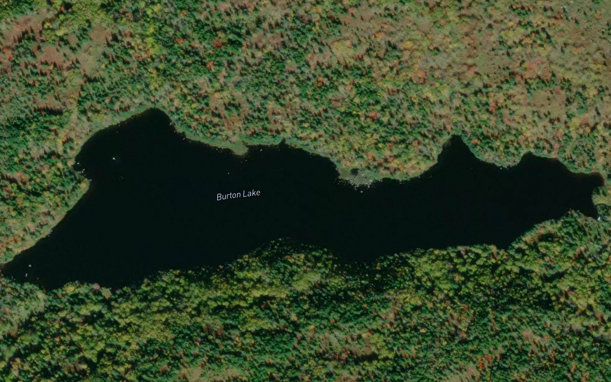 Burton Lake