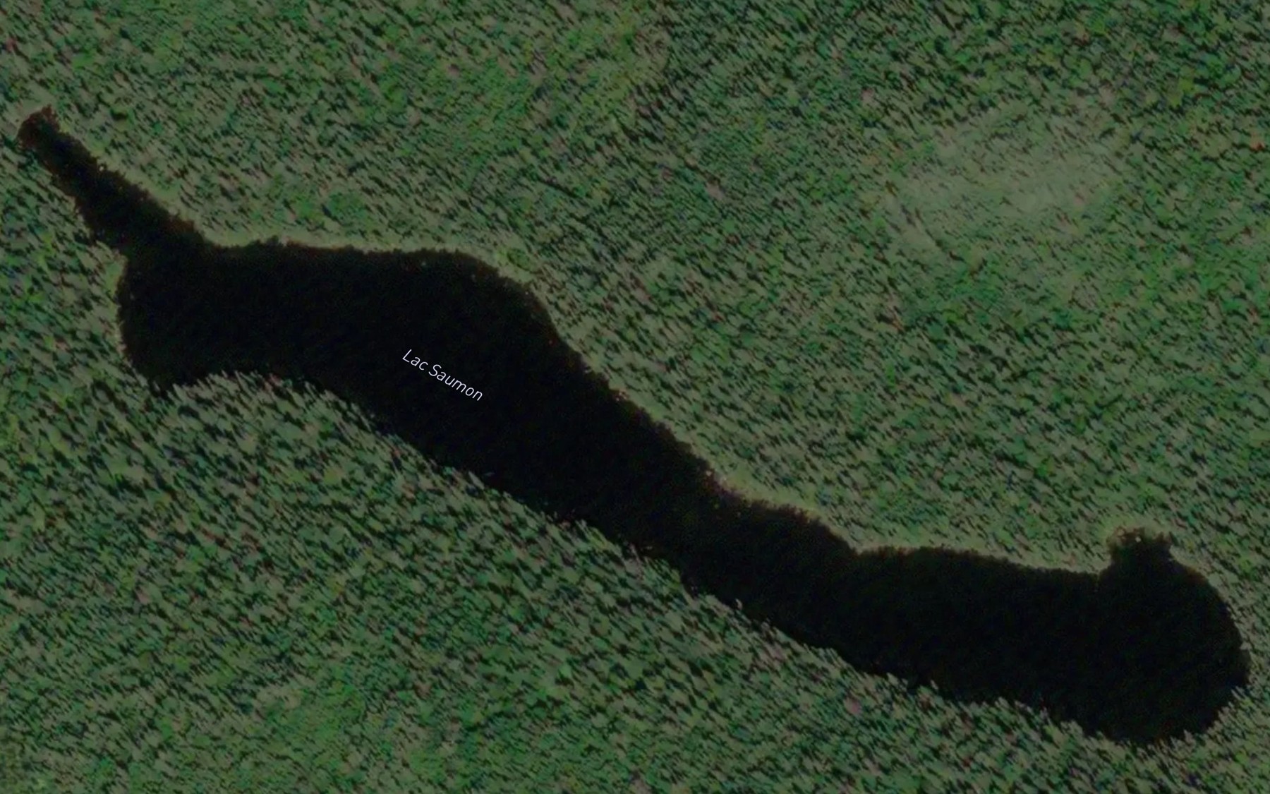 Satellite map of the Lac Saumon