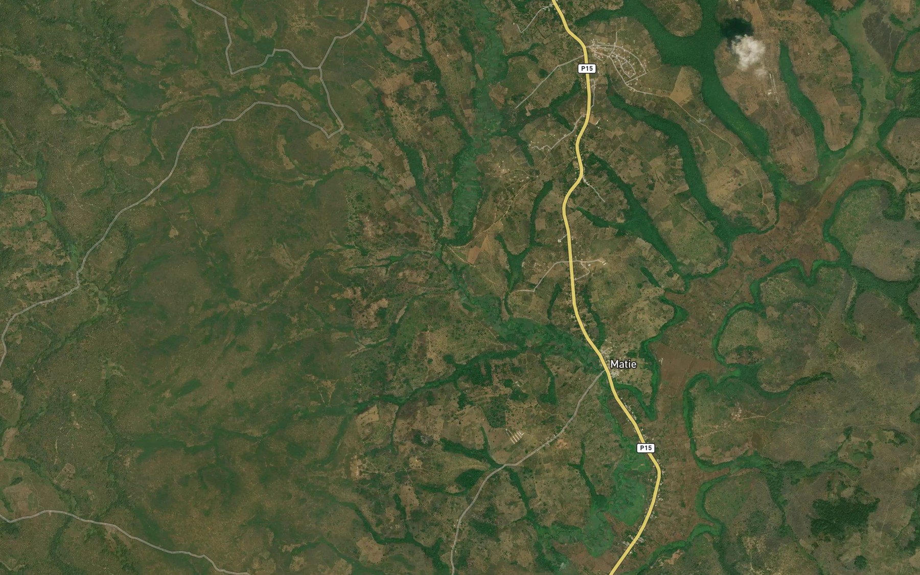 Satellite map of the Niama