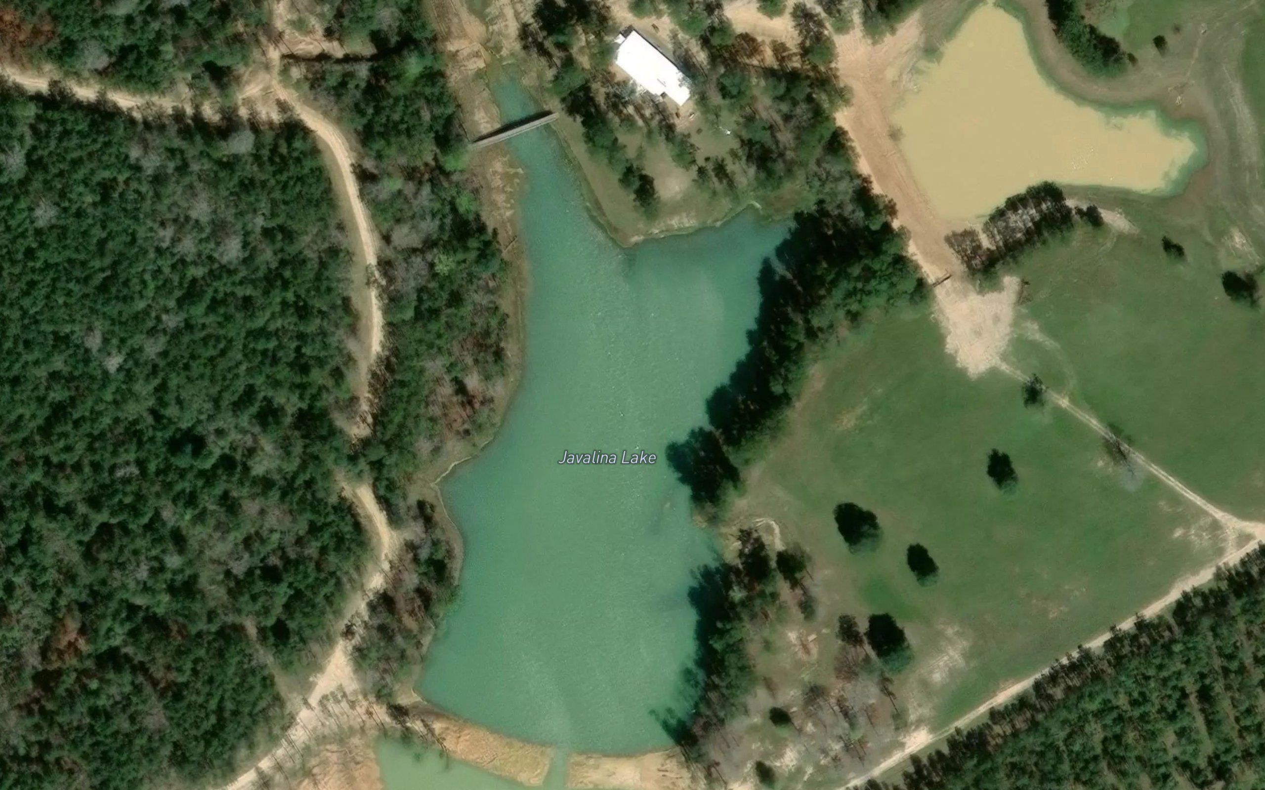 Javalina Lake