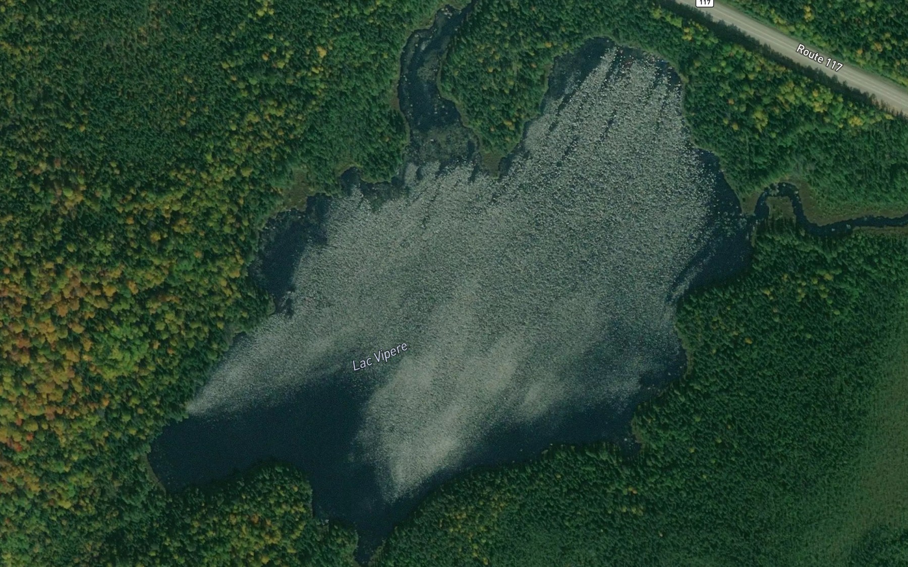 Satellite map of the Lac Vipere