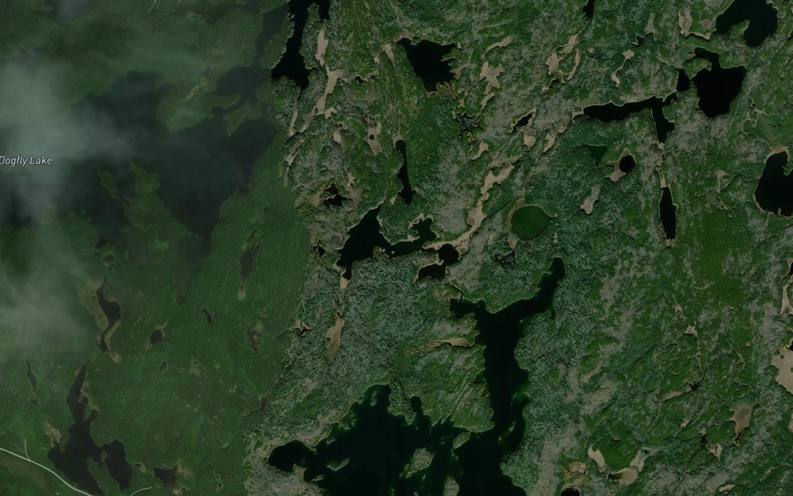 Long Grass Lake