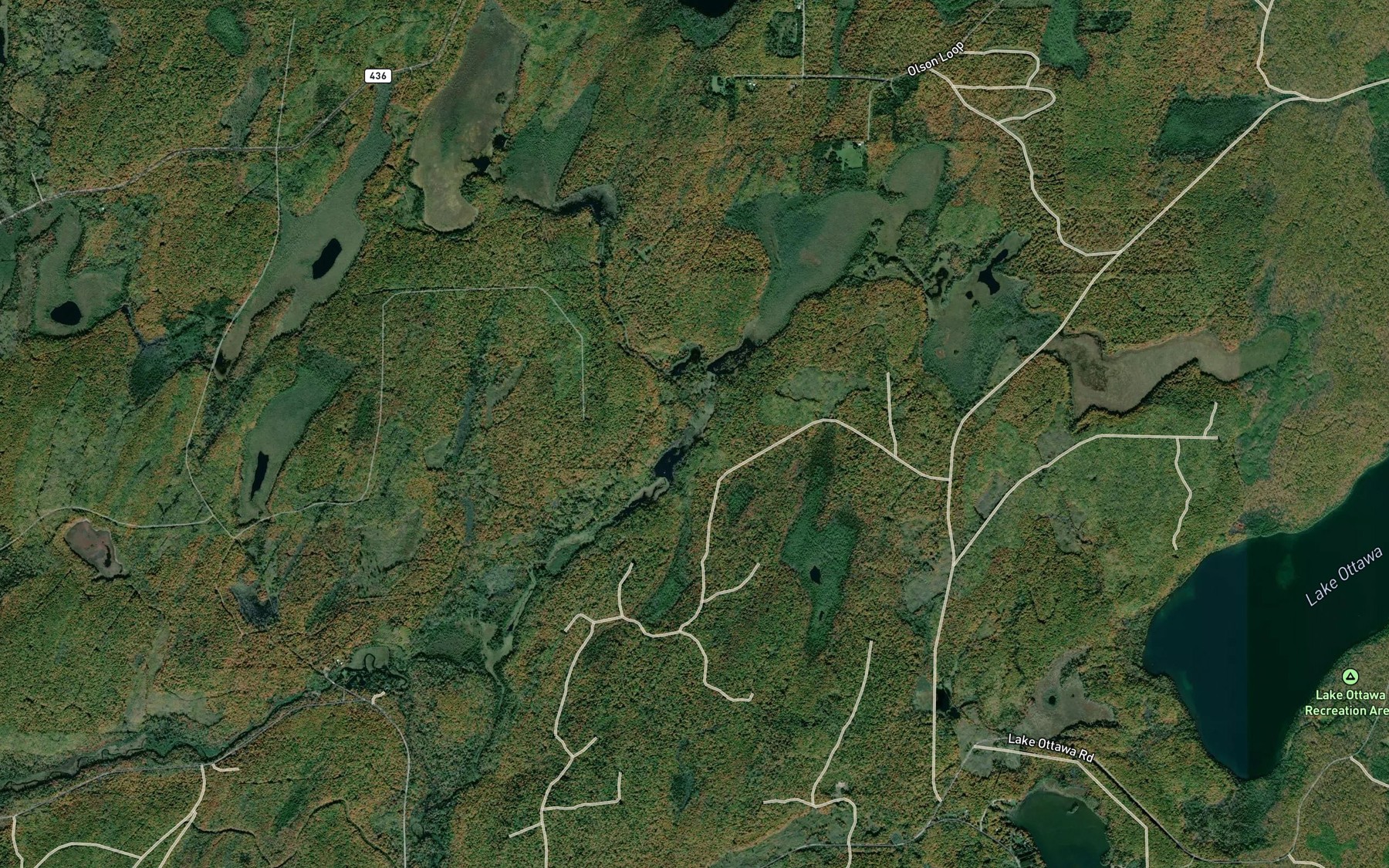 Satellite map of the Jungle Creek