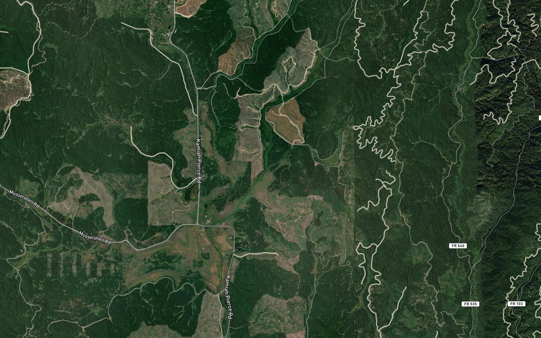 Satellite map of the Dan Lee Creek