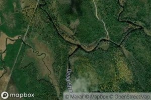 West Branch Dead Stream