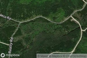 Left Fork Farrar Brook