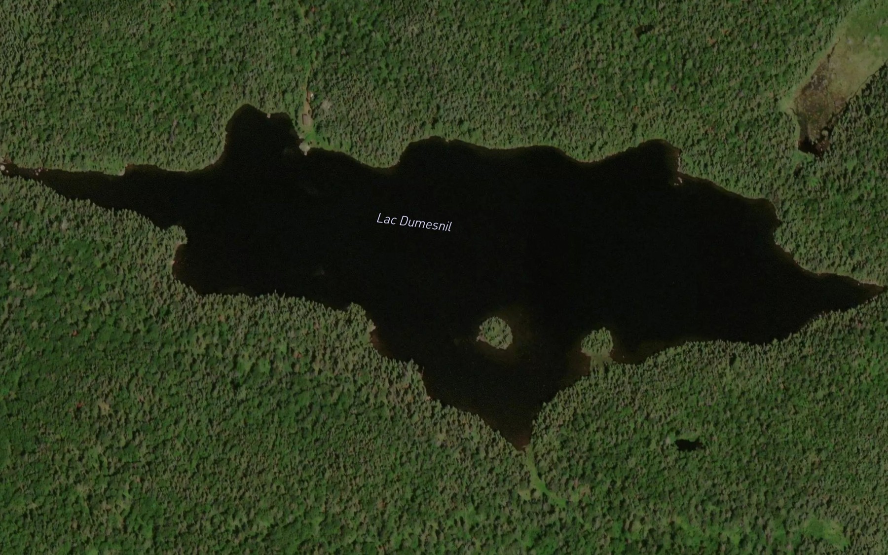 Satellite map of the Lac Dumesnil
