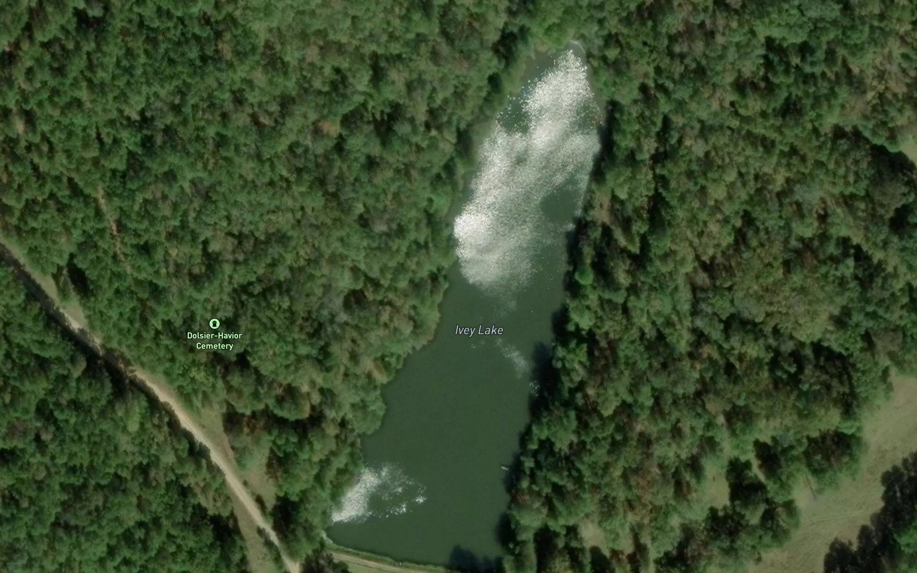 Satellite map of the Ivey Lake