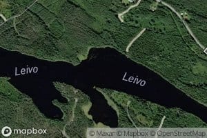 Leivo