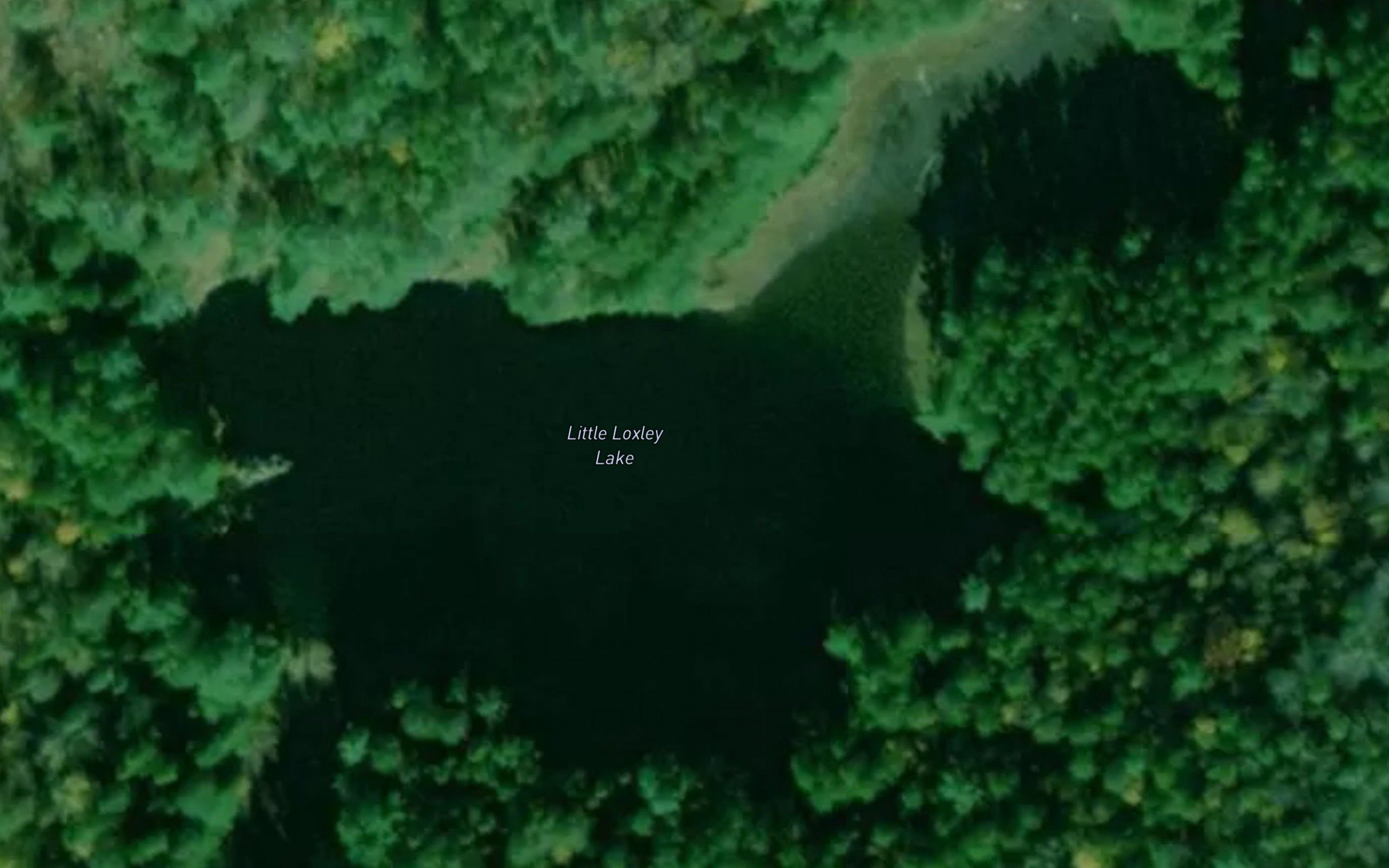 Little Loxley Lake