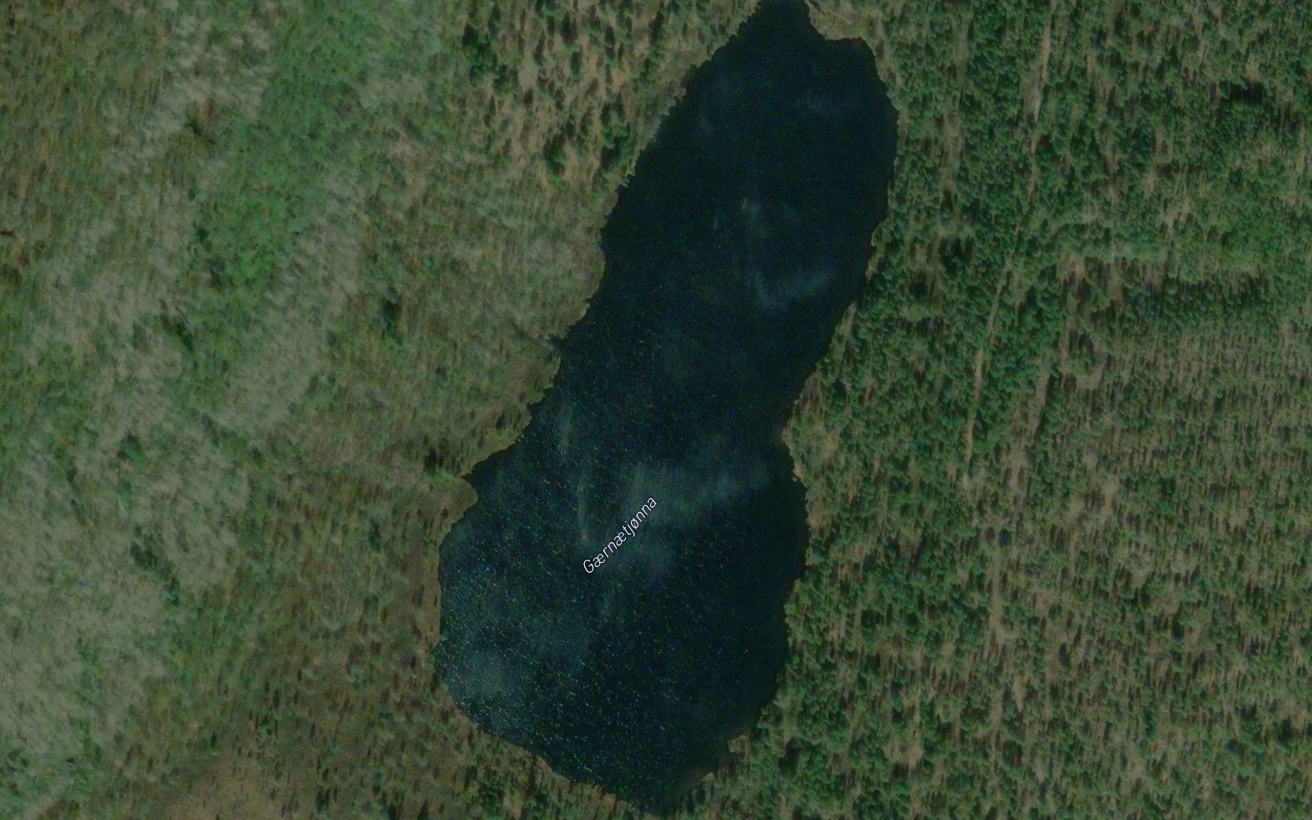 Gaernaetjonna
