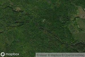 Back Branch Lower Trout Brook