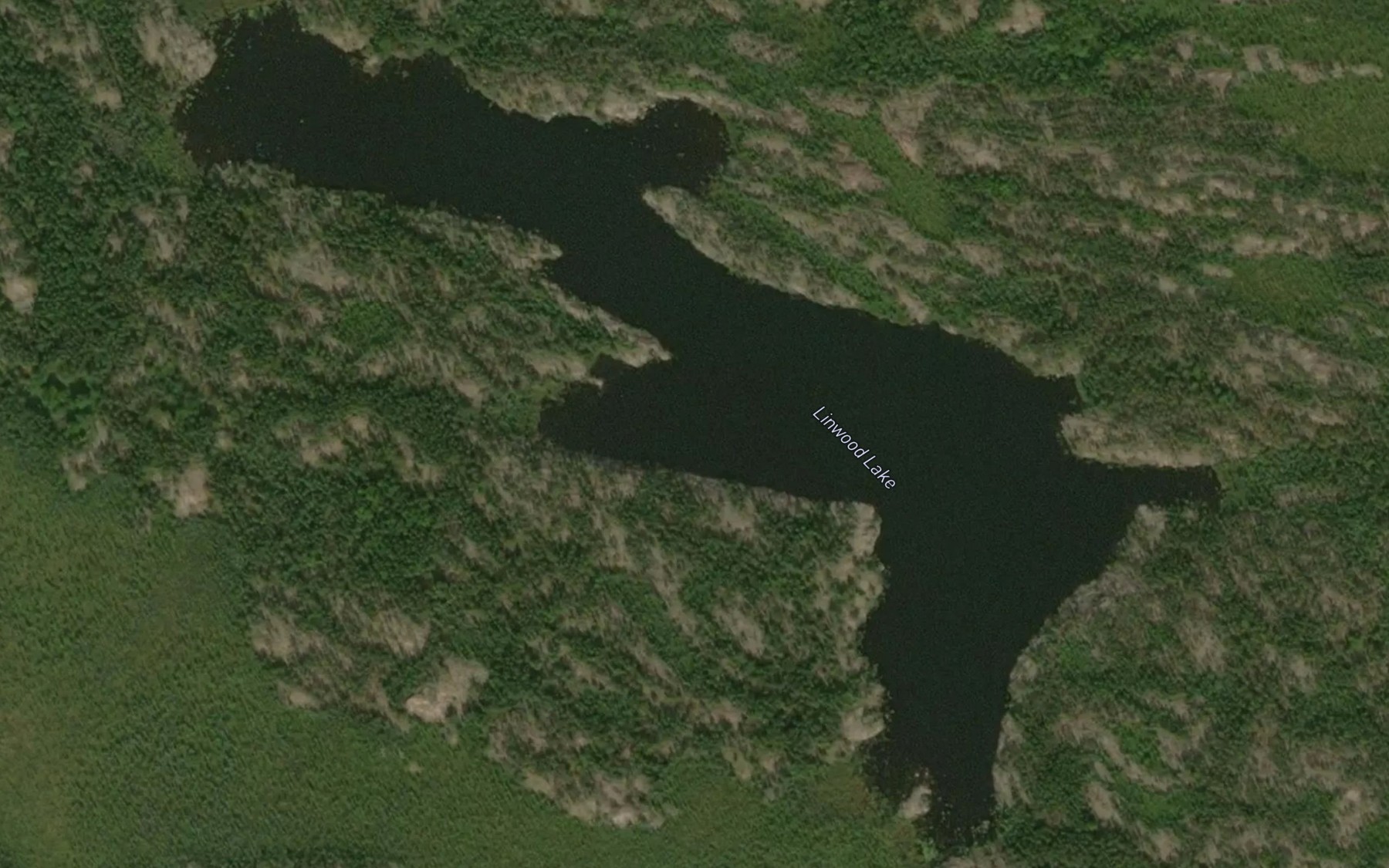 Satellite map of the Linwood Lake