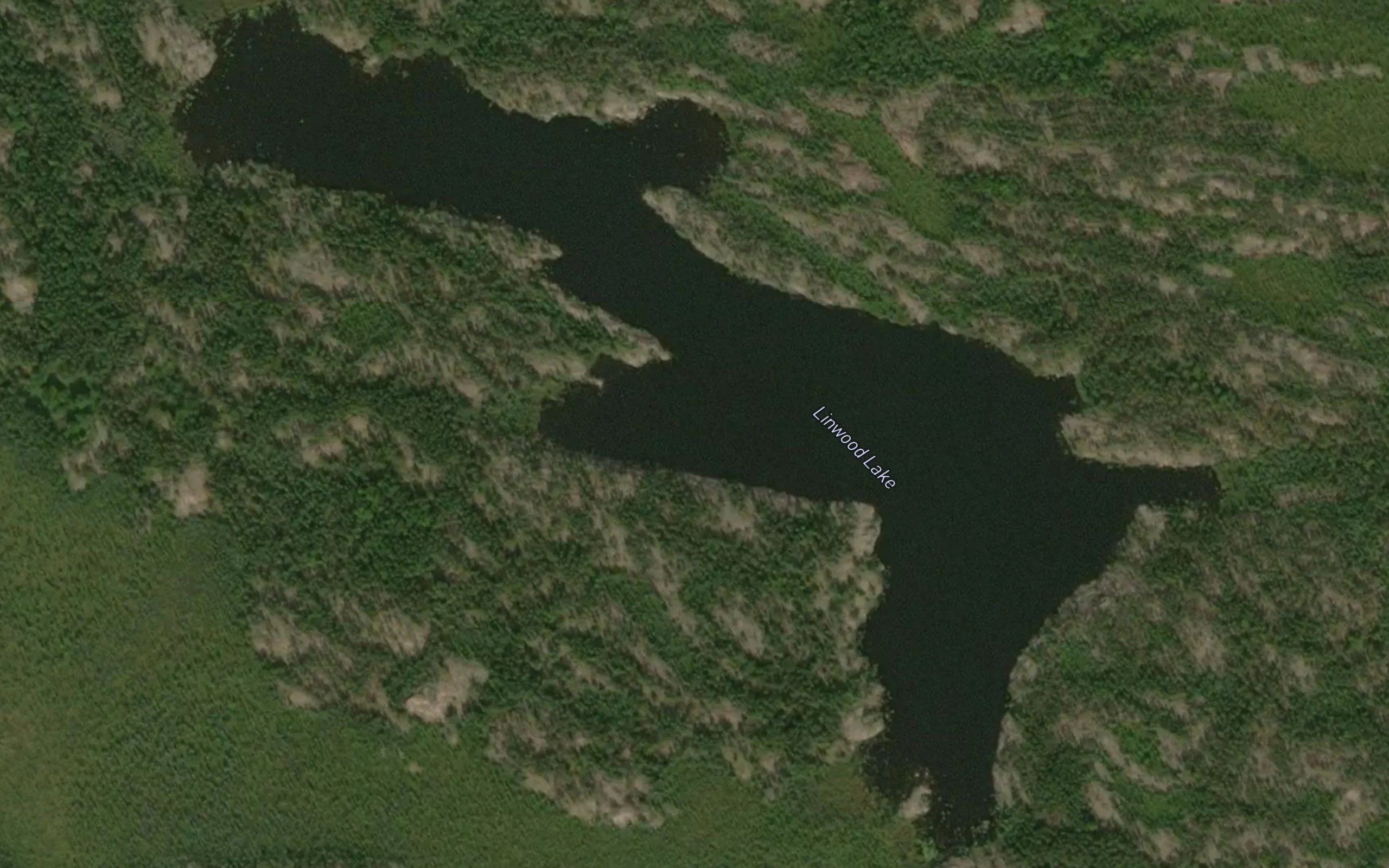 Linwood Lake