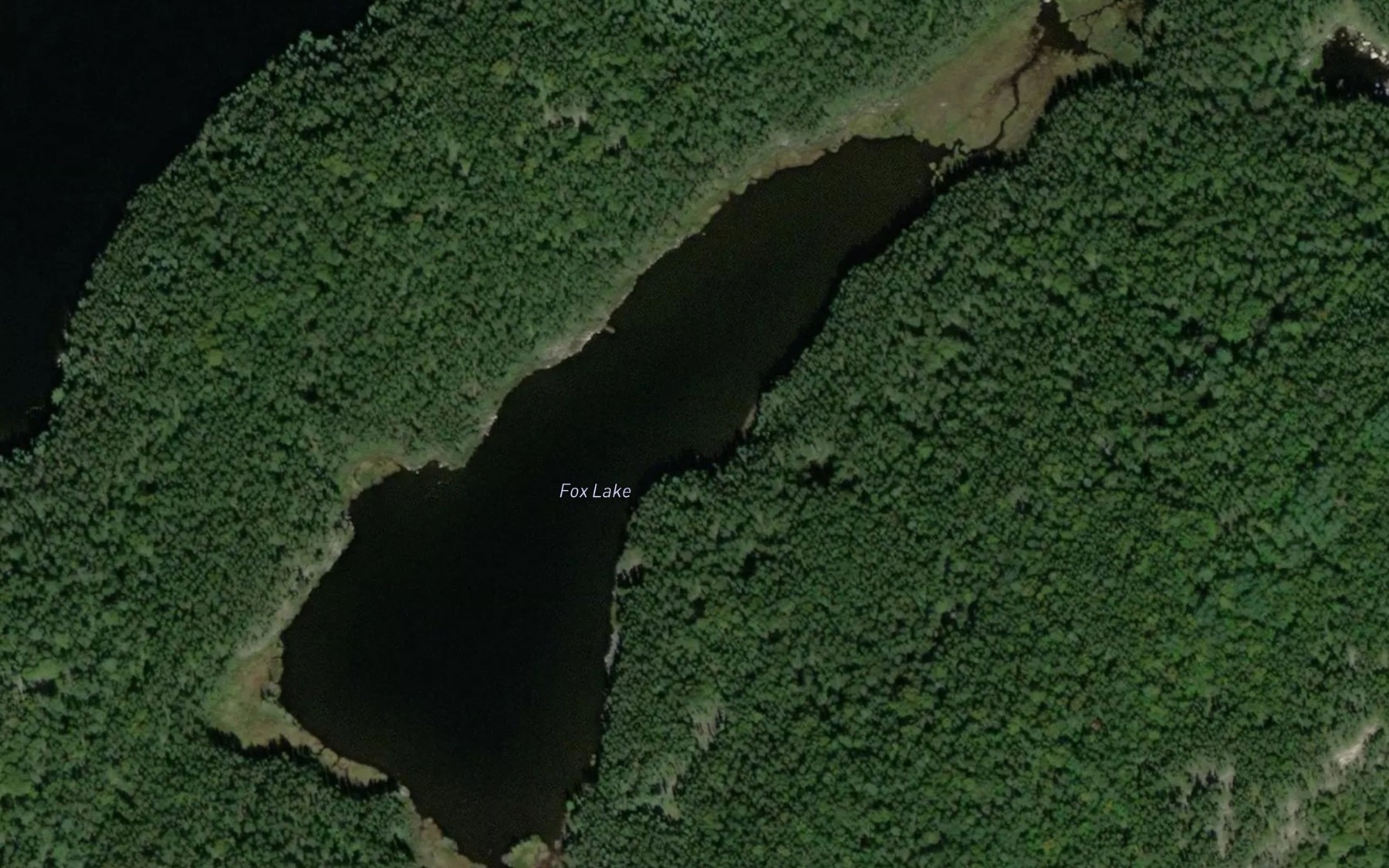 Satellite map of the Fox Lake