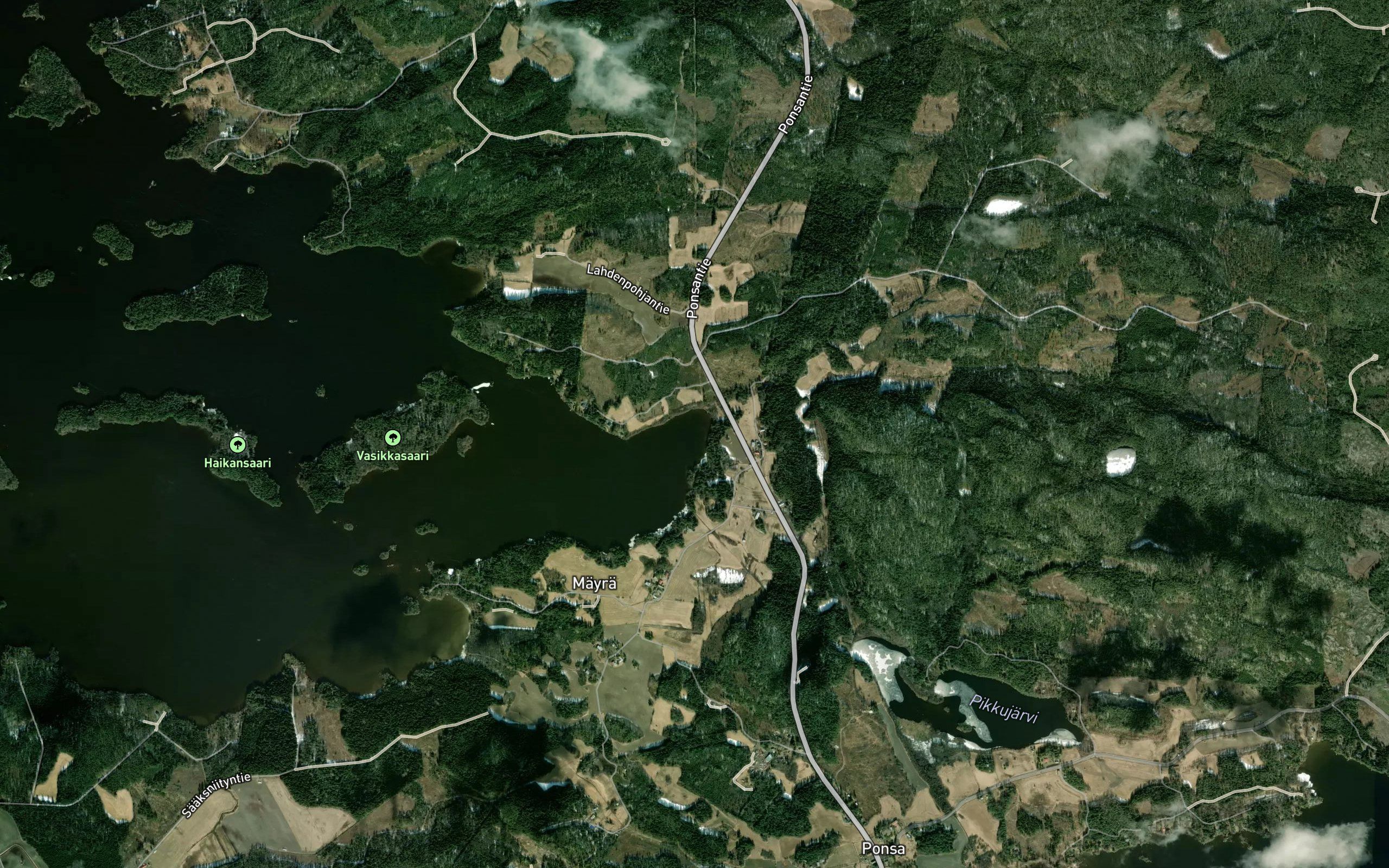 Mottonen