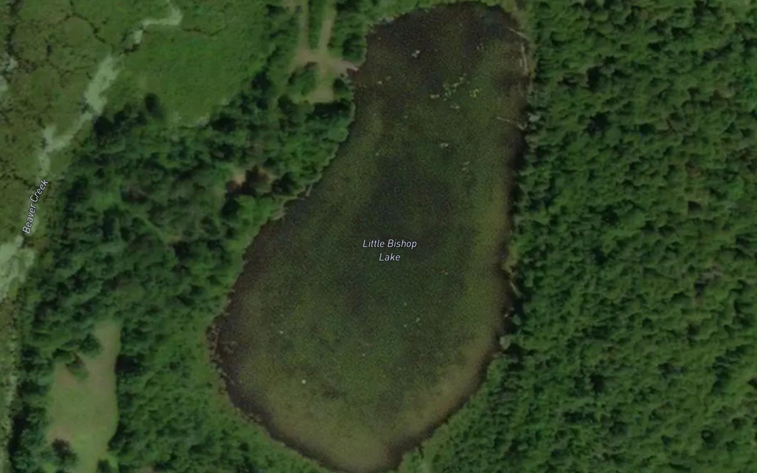 Little Bishop Lake