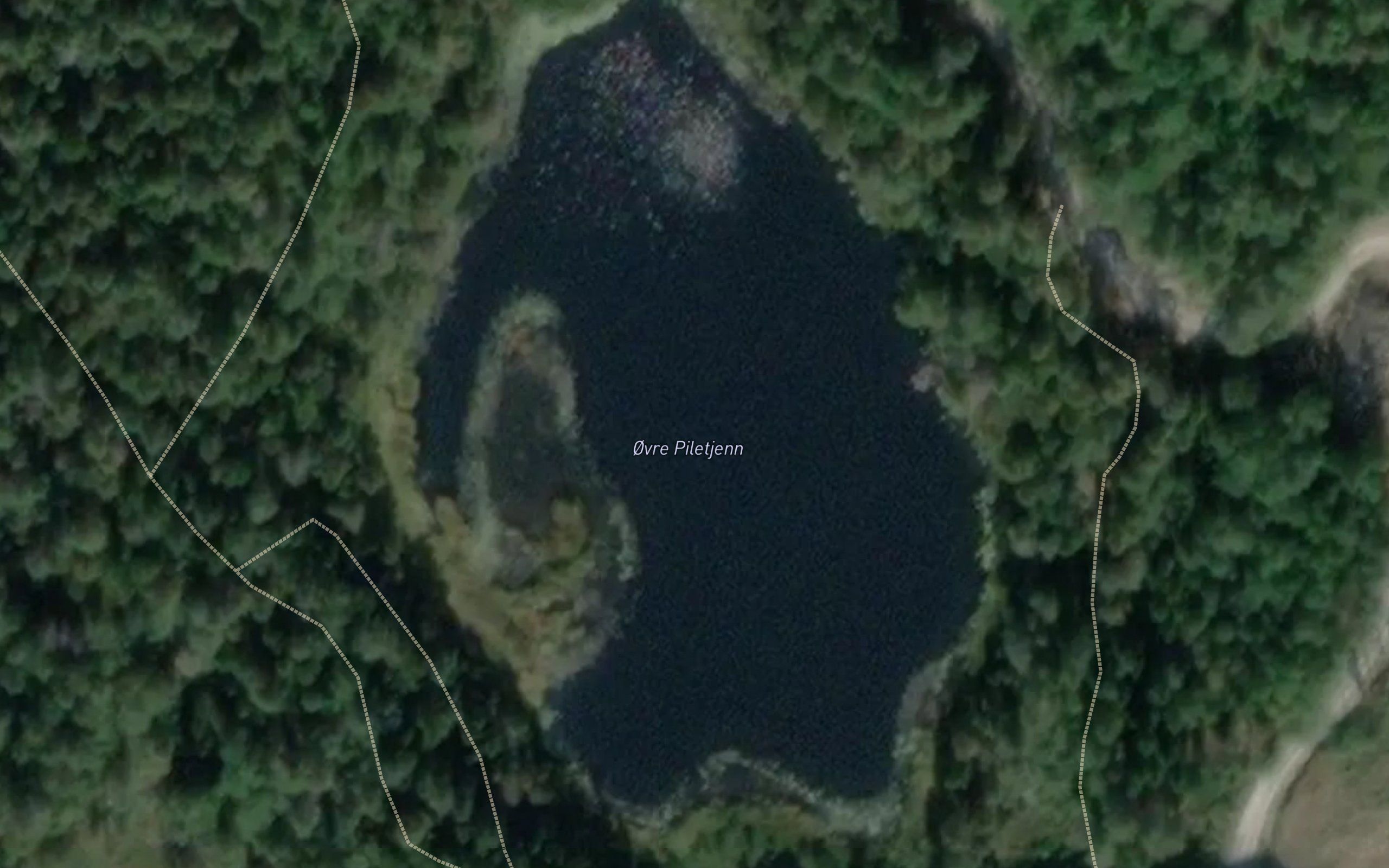 Piletjern