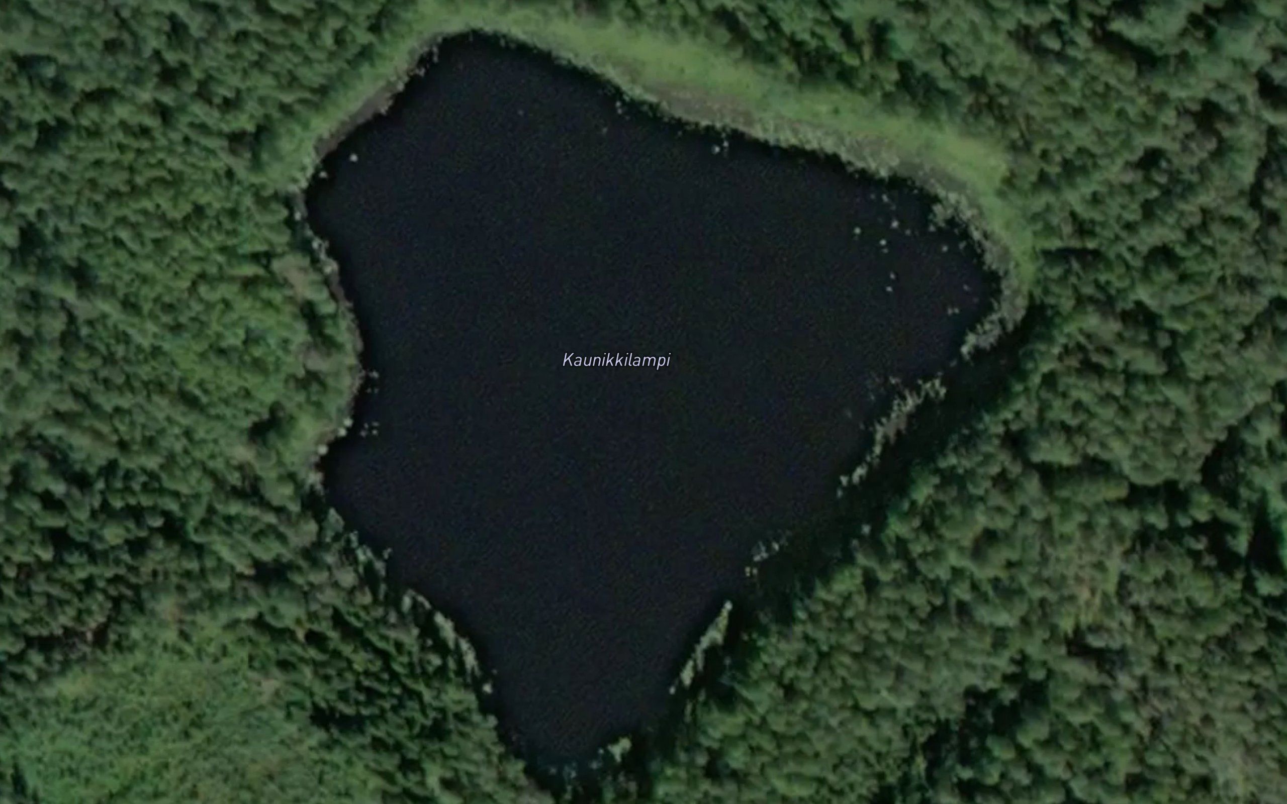 Kaunikkilampi
